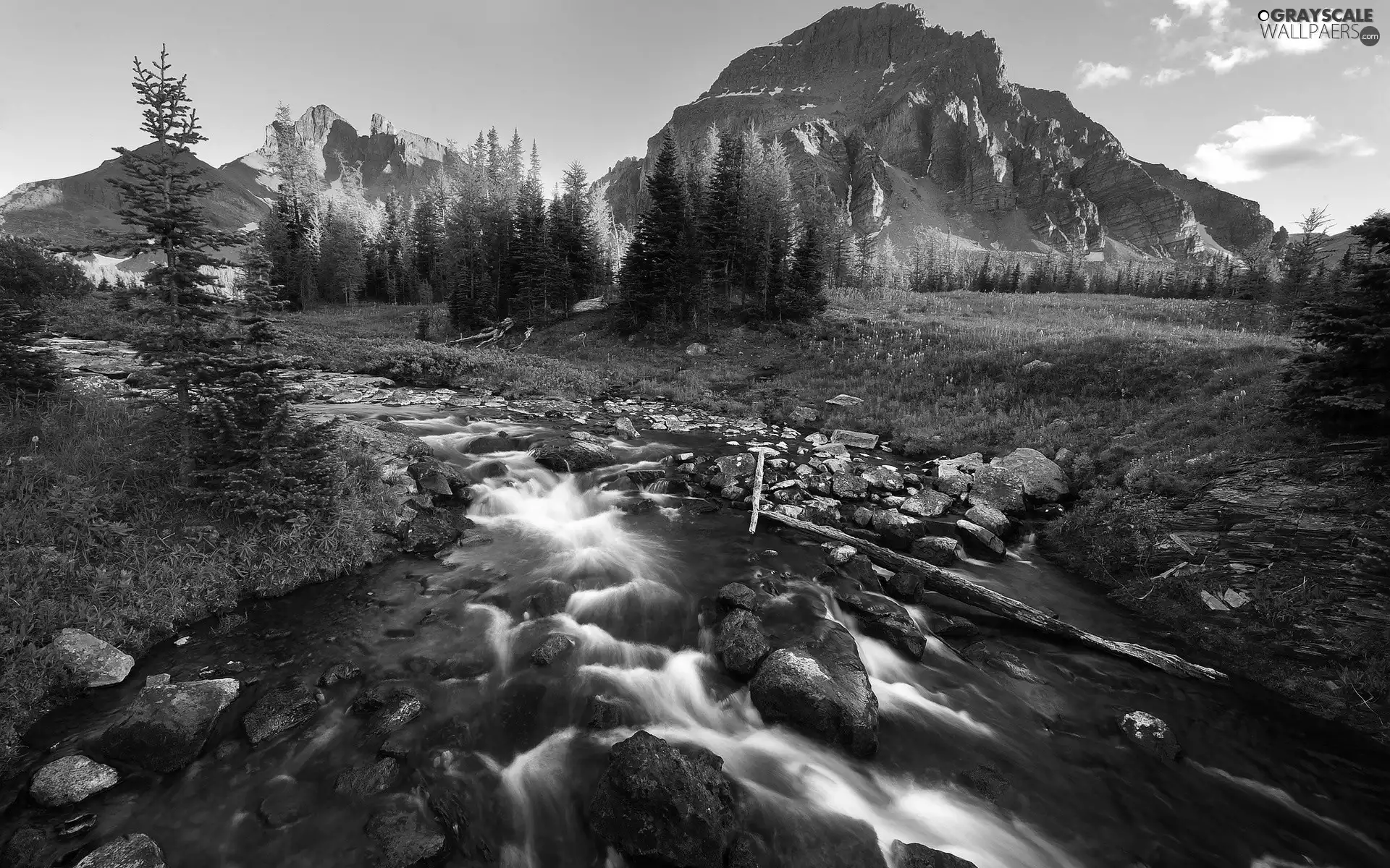 viewes, Mountains, River, Stones, tear, trees