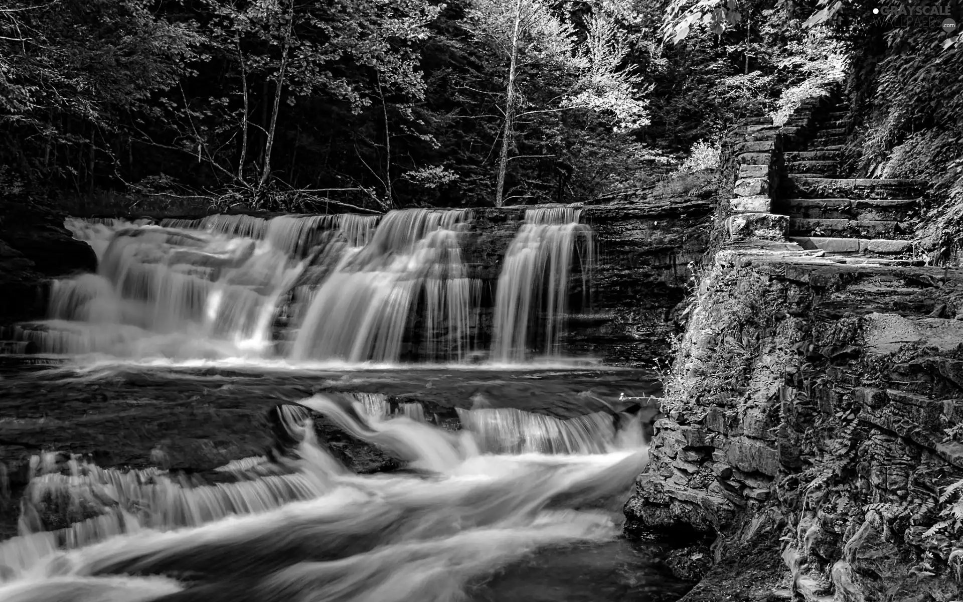 green, forest, Rock Waterfall