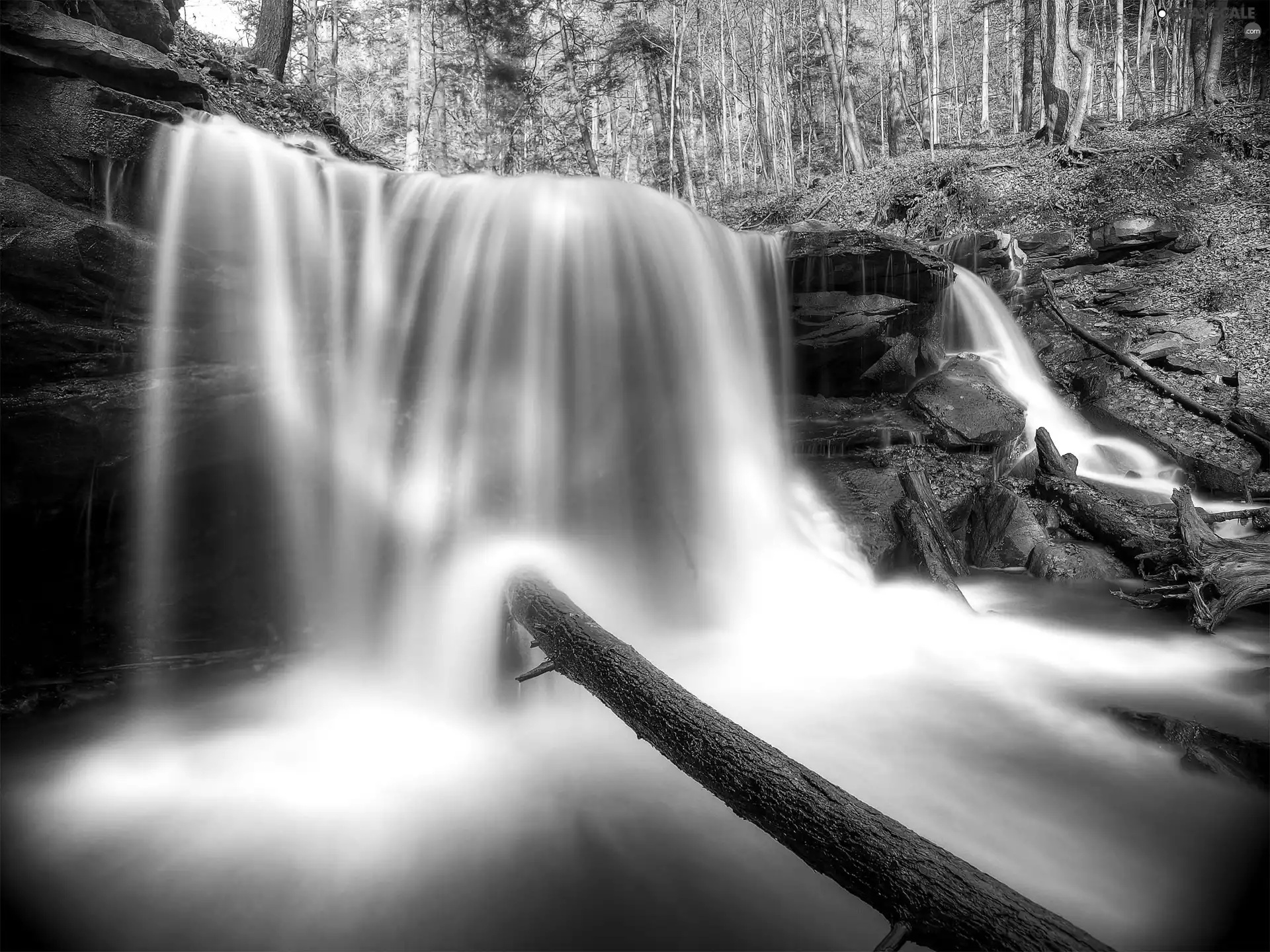 rocks, waterfall, forest