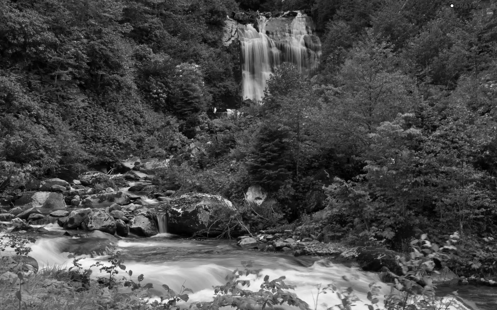 rocks, waterfall, forest