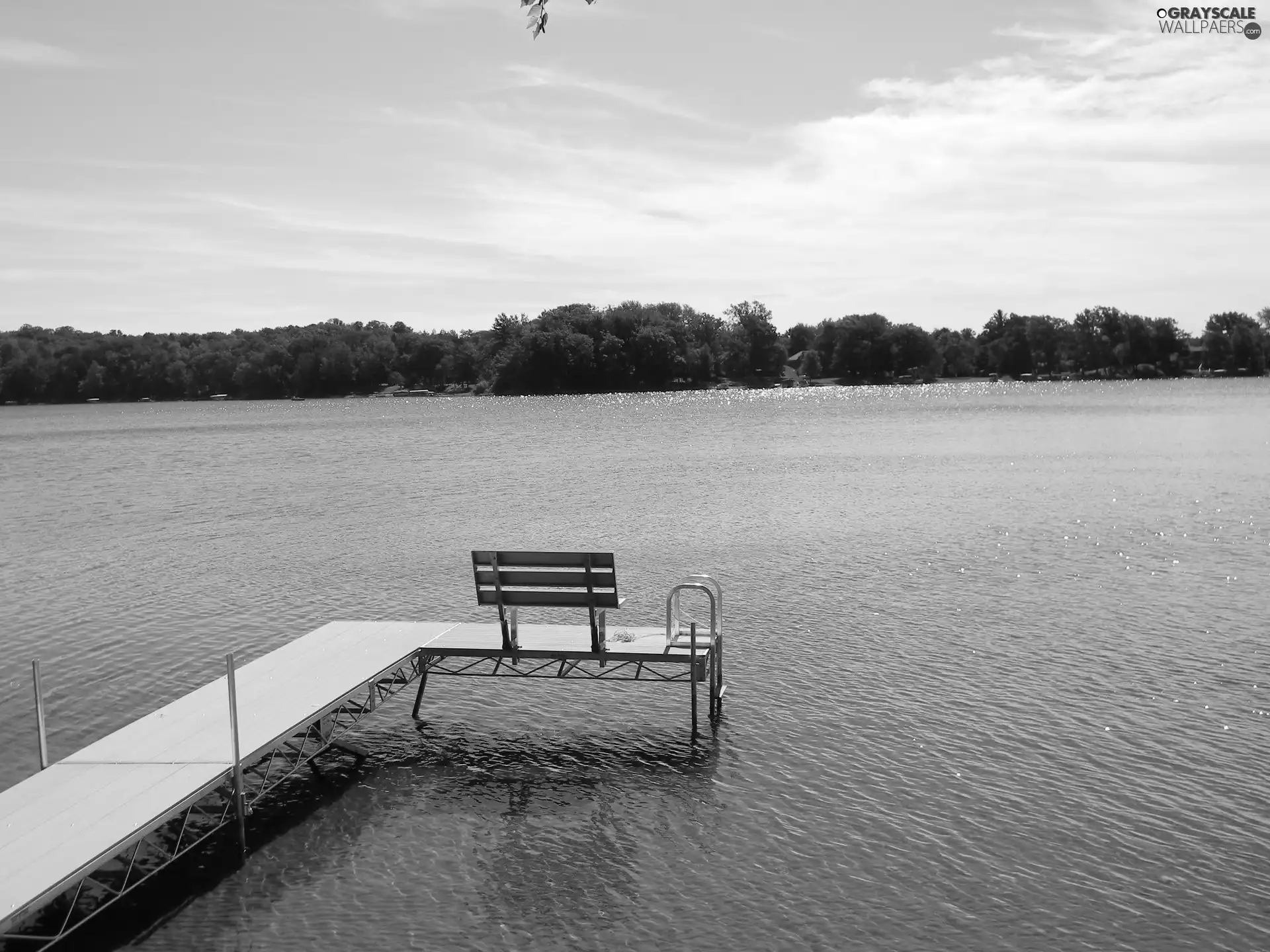 scrub, lake, Platform