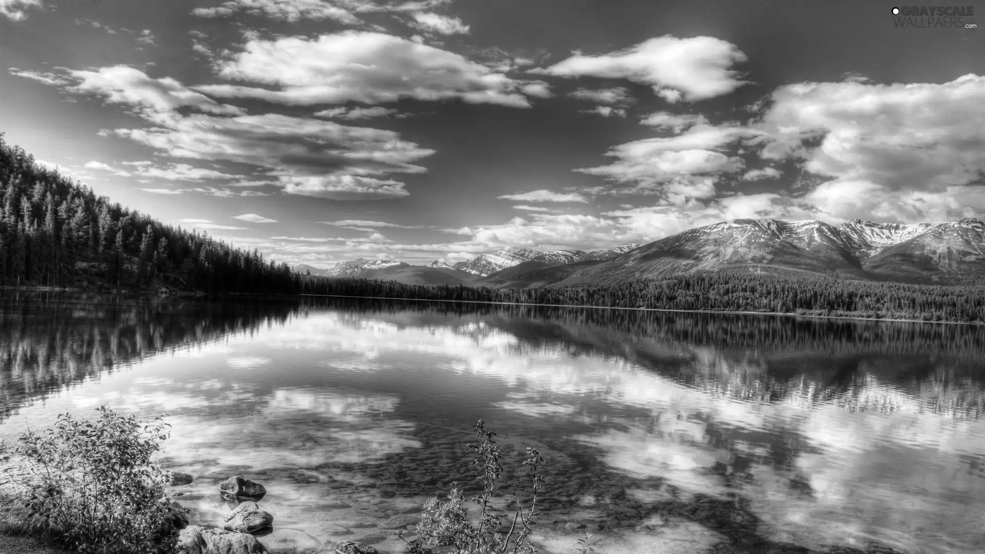 Sky, clouds, forest, Mountains, lake