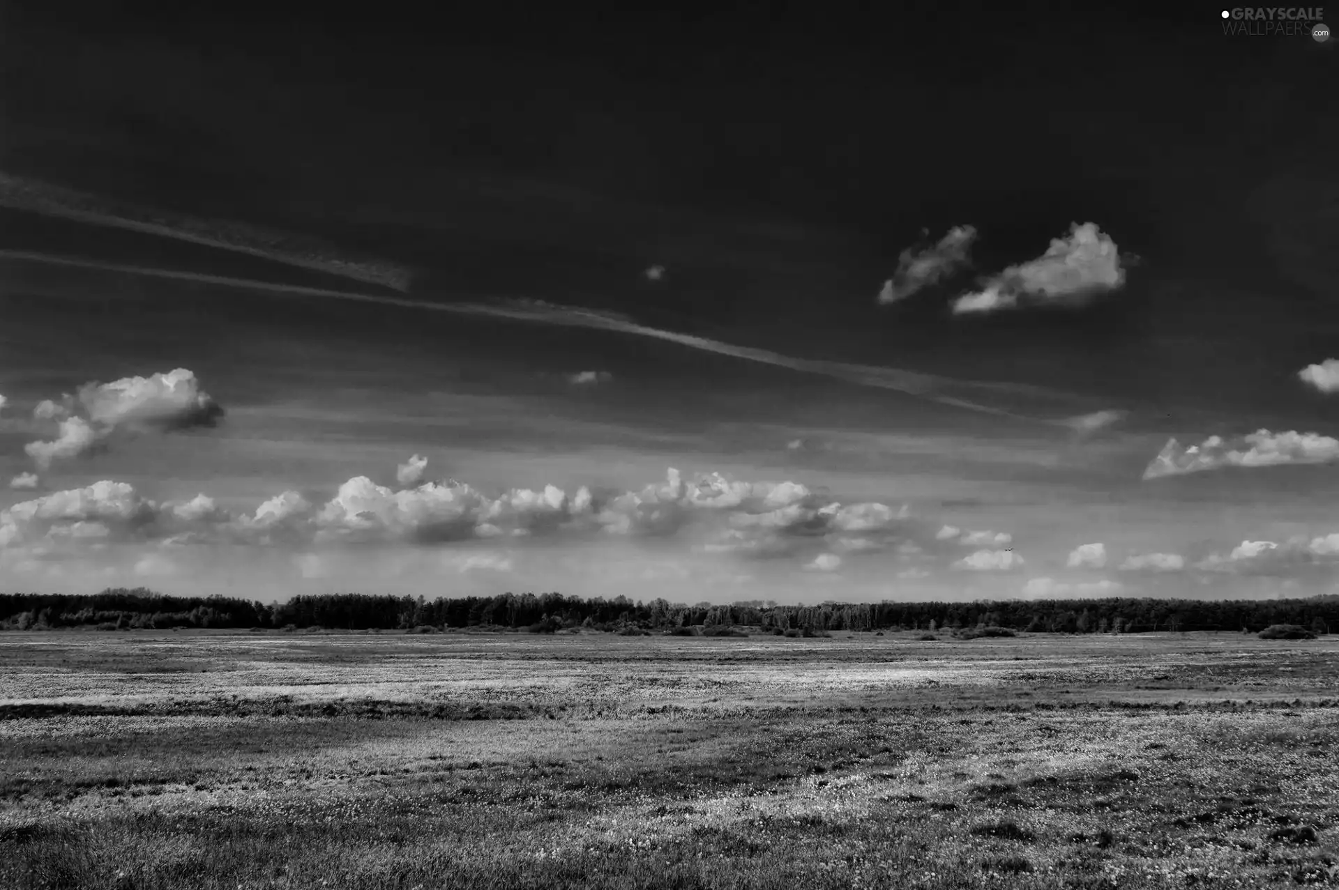 Sky, Meadow, clouds