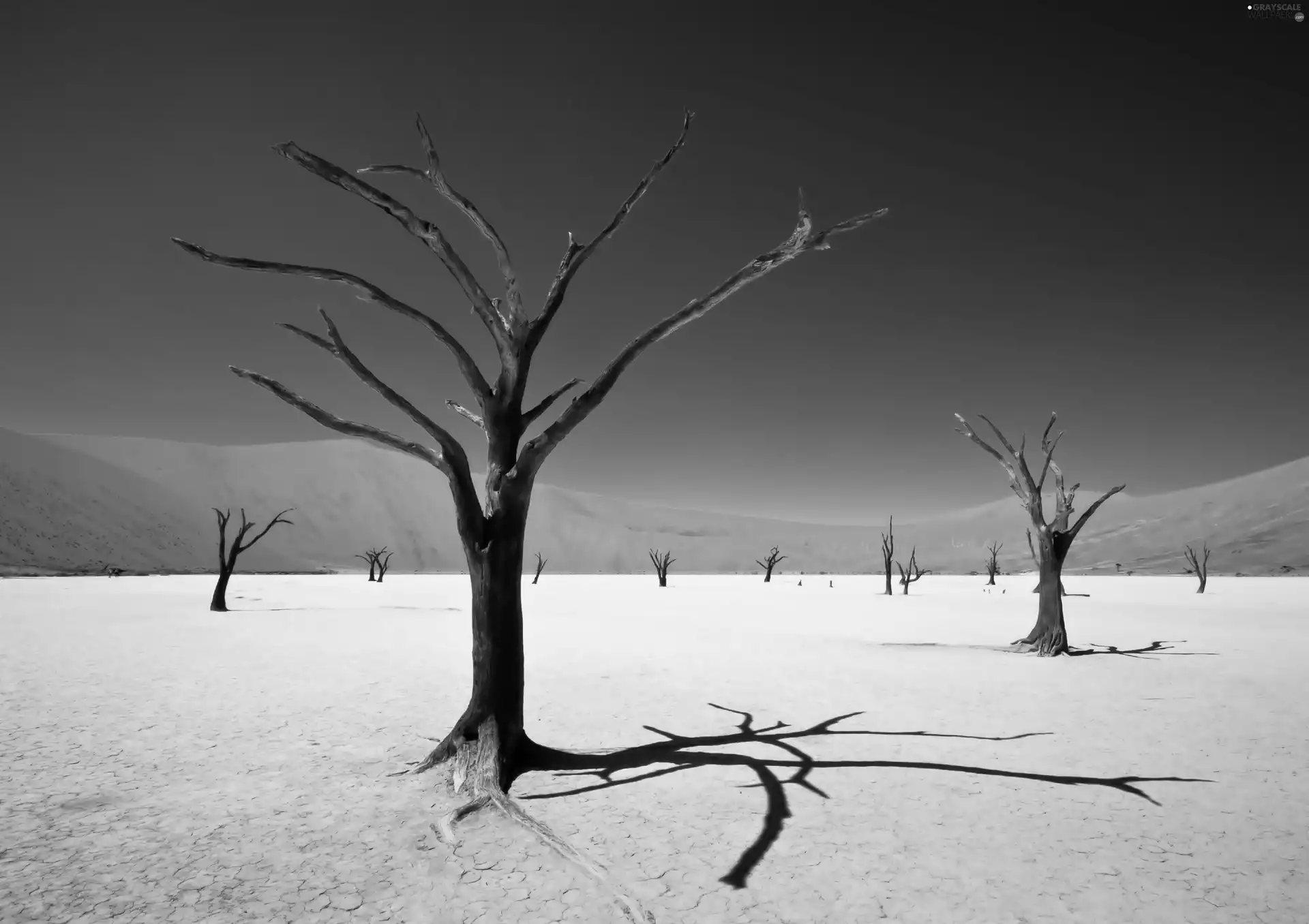 Desert, Sky