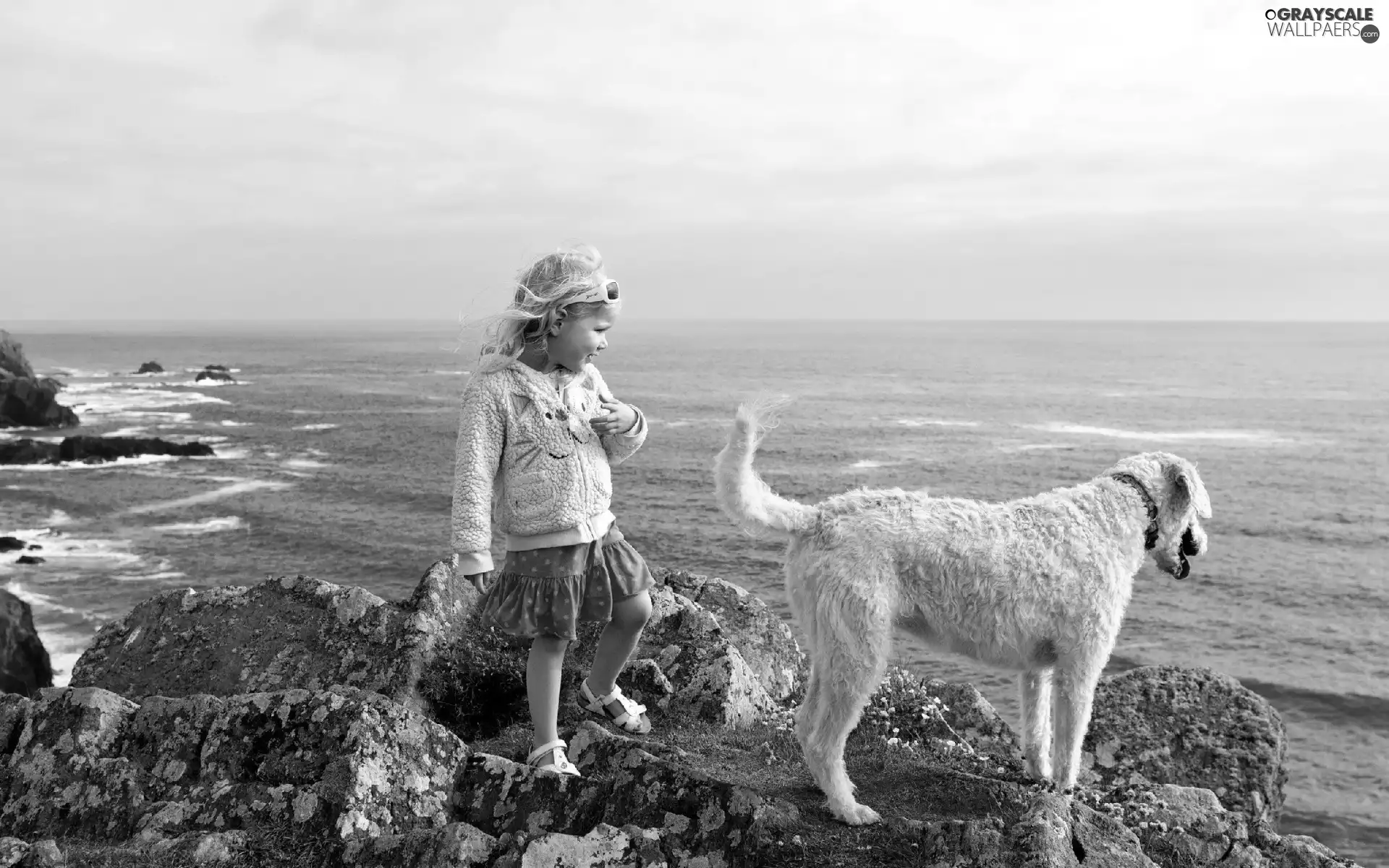 girl, sea, Sky, dog