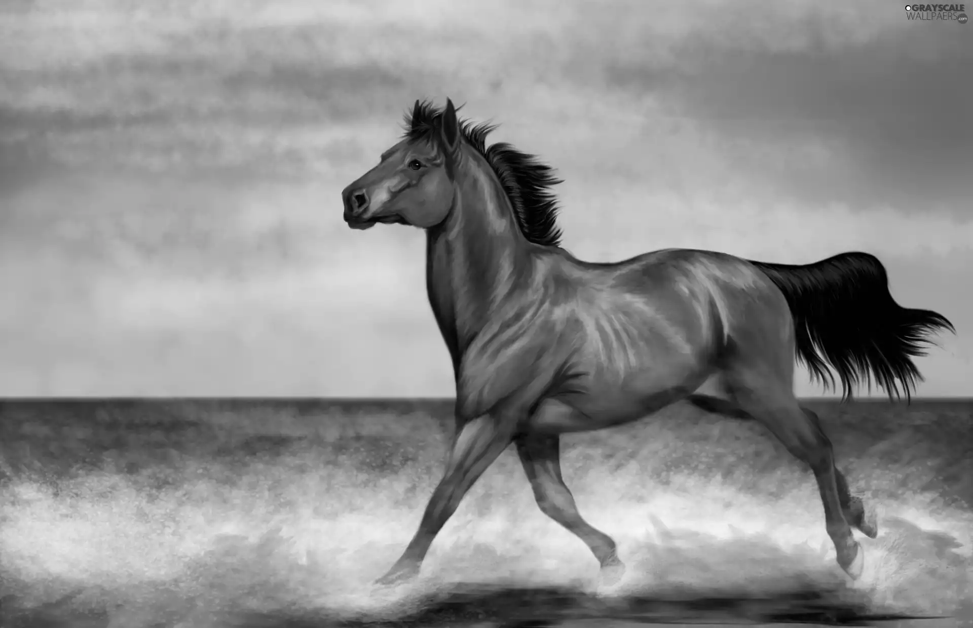 Sky, Horse, sea