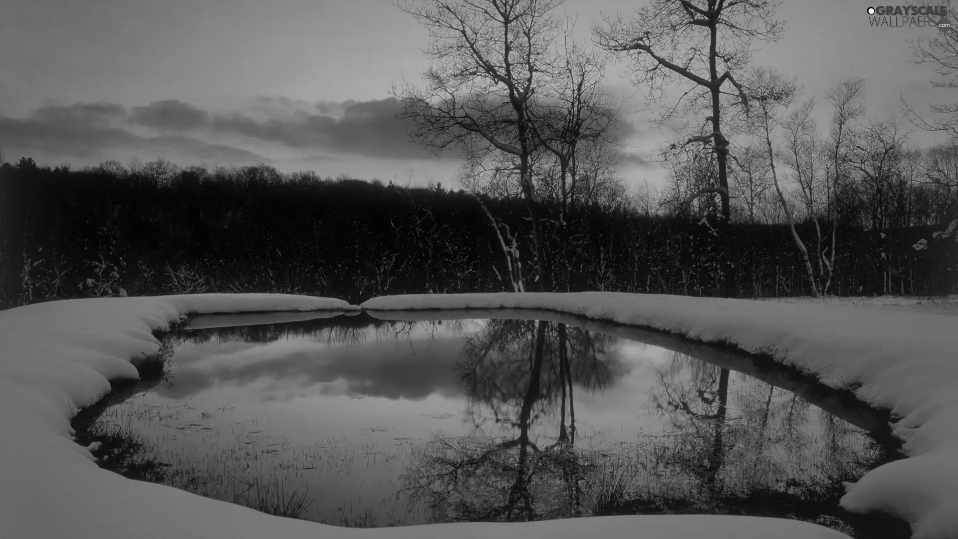 twilight, Pond - car, snow