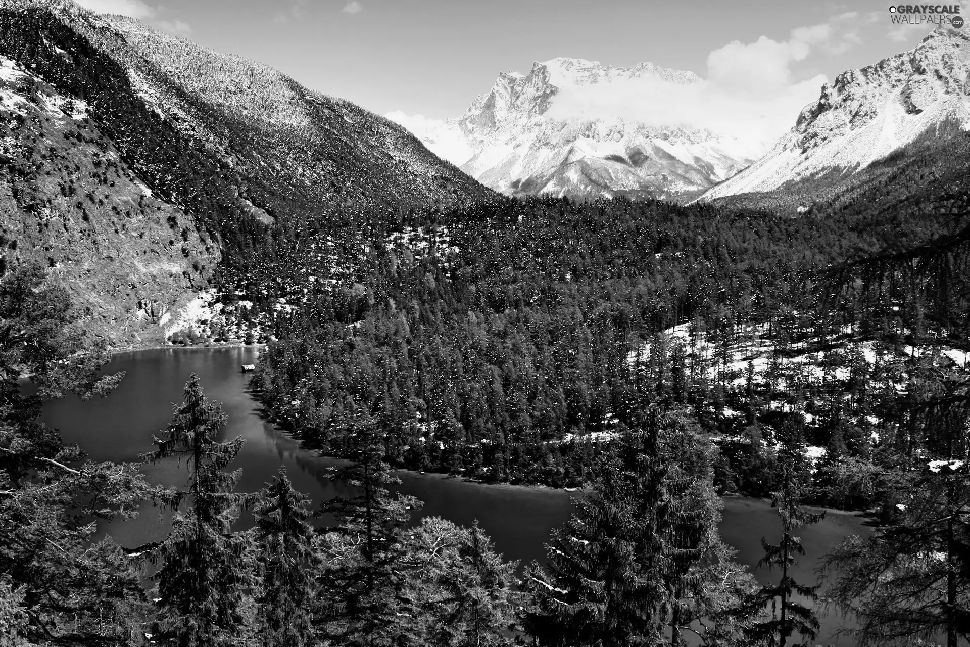 Snowy, peaks, woods, Softwood, River