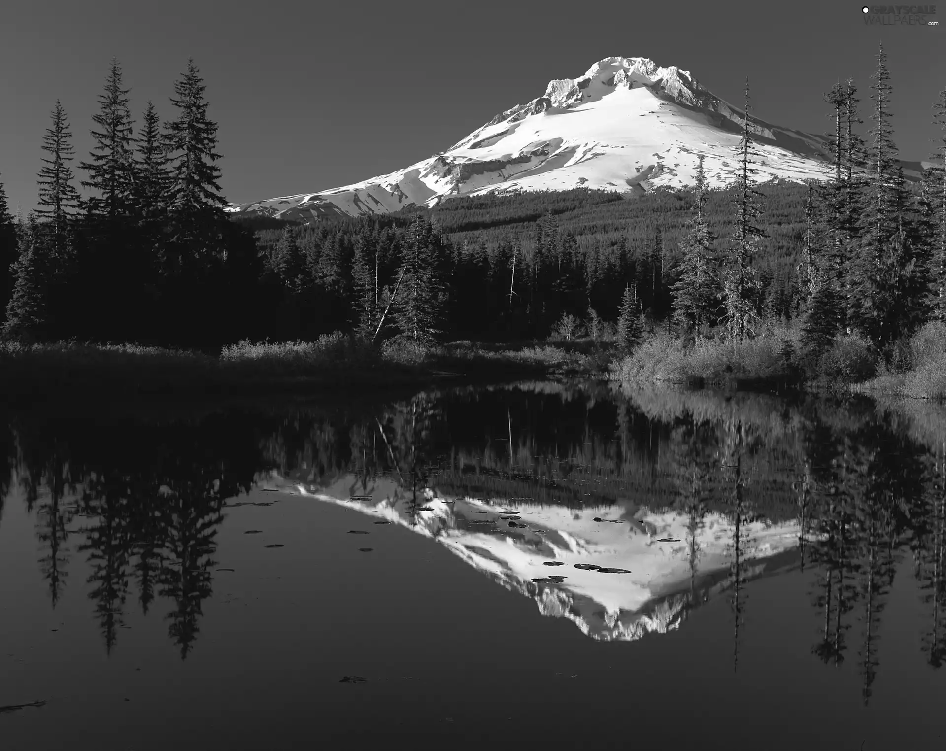 lake, mountains, Spruces, A snow-covered