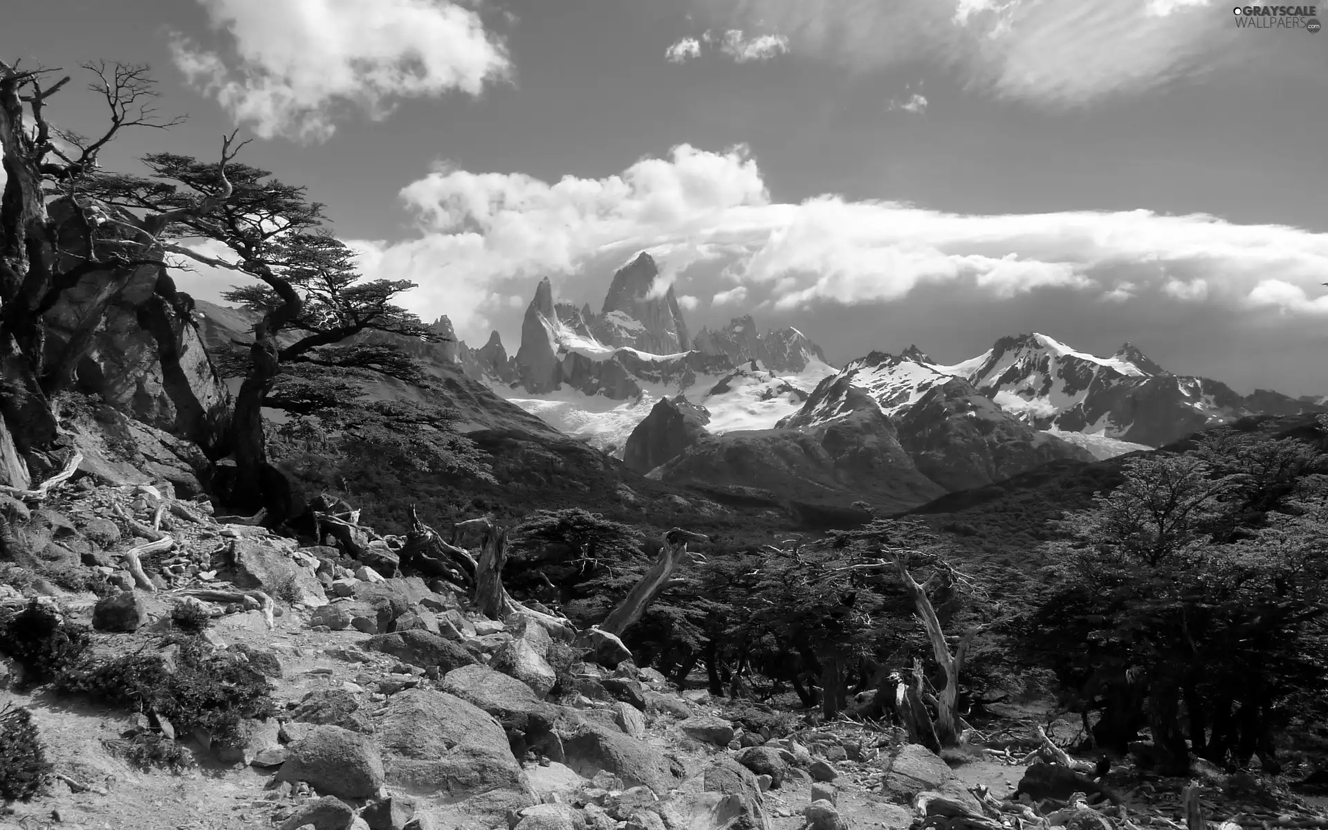 Stones, Mountains, forest