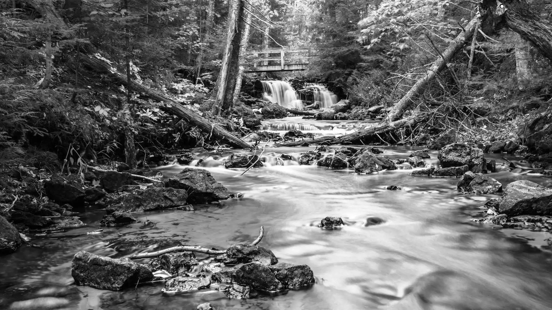 Stones, waterfall, forest