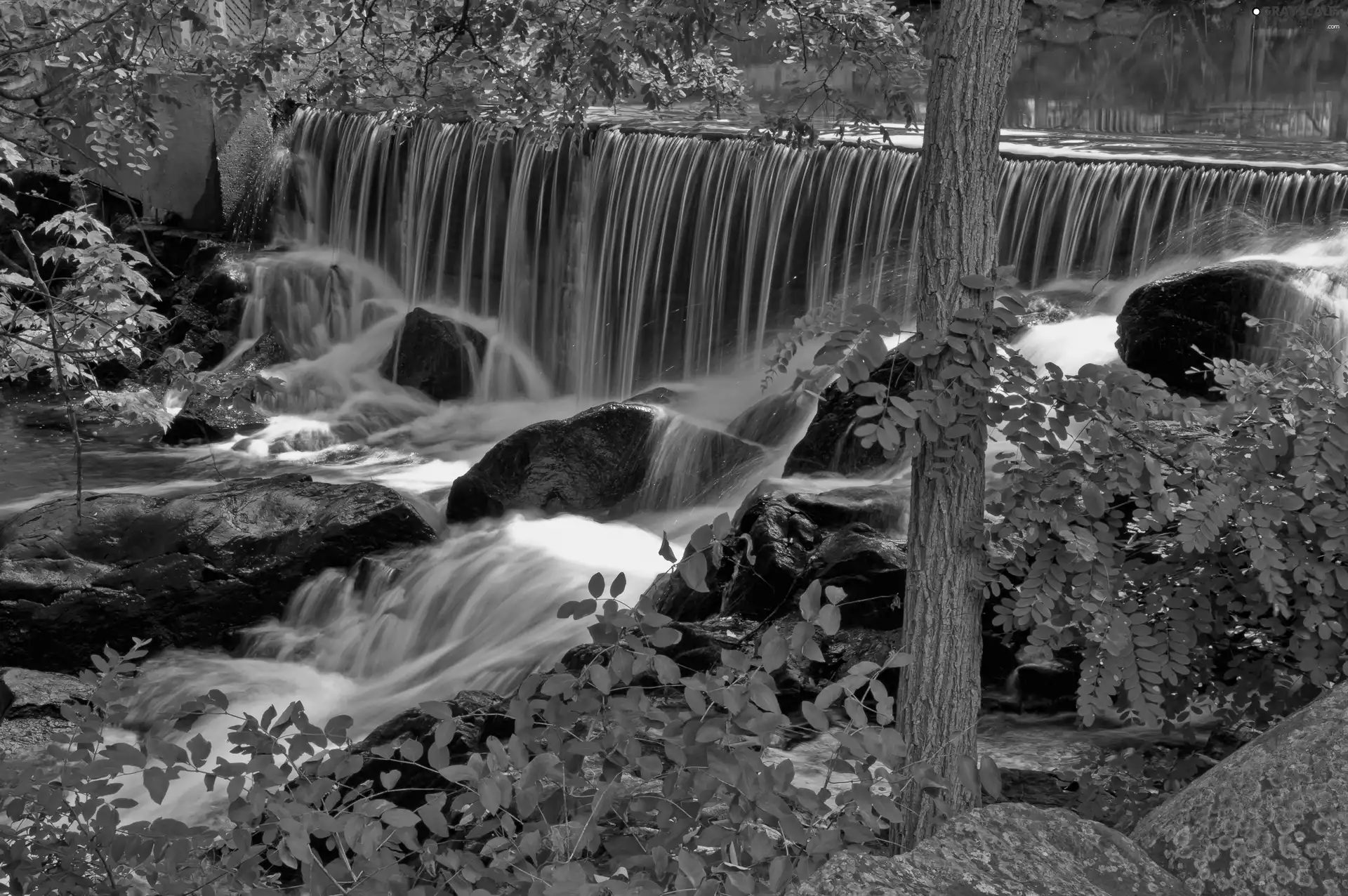 viewes, forest, Stones, waterfall, River, trees