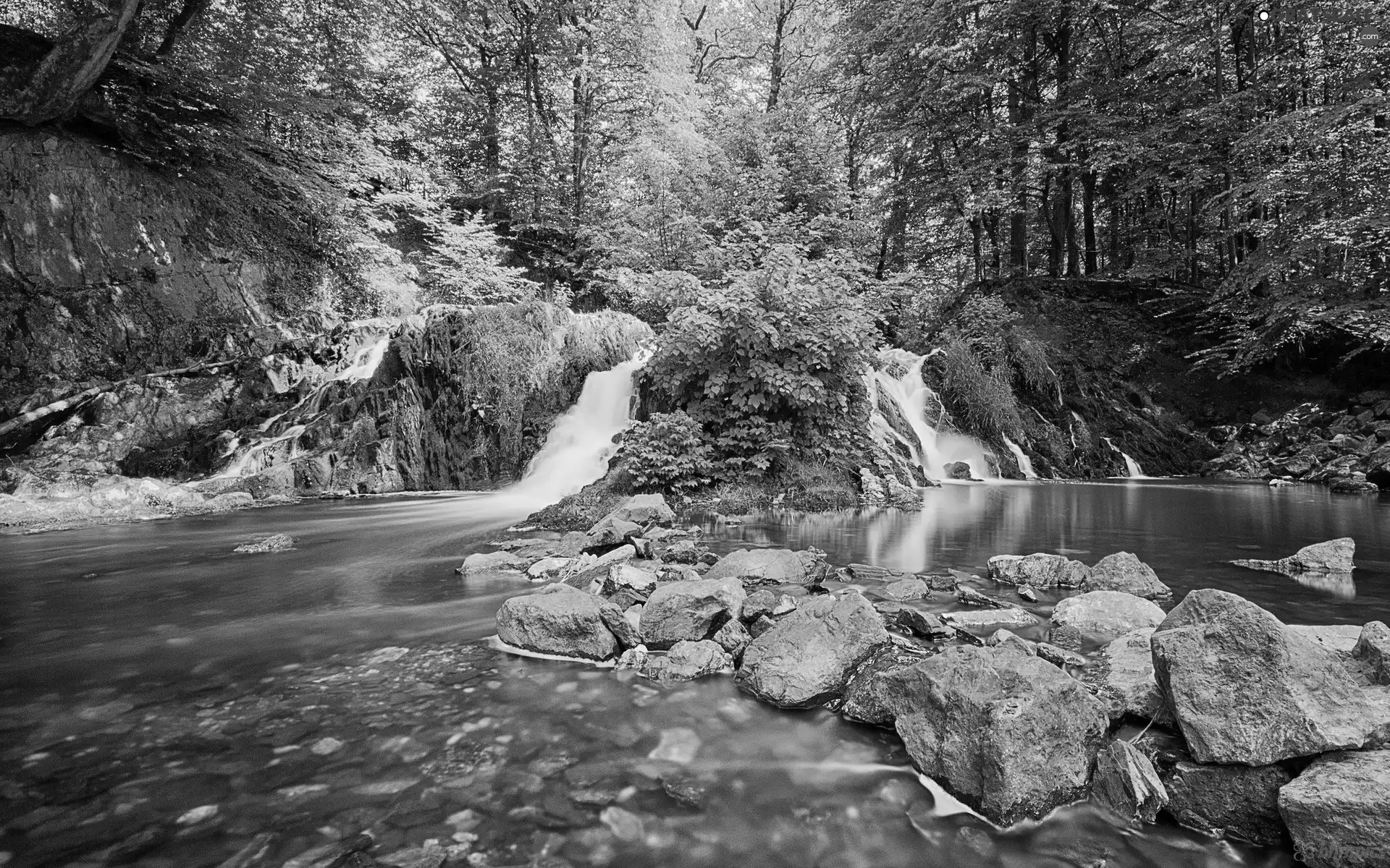 waterfall, viewes, Stones, trees