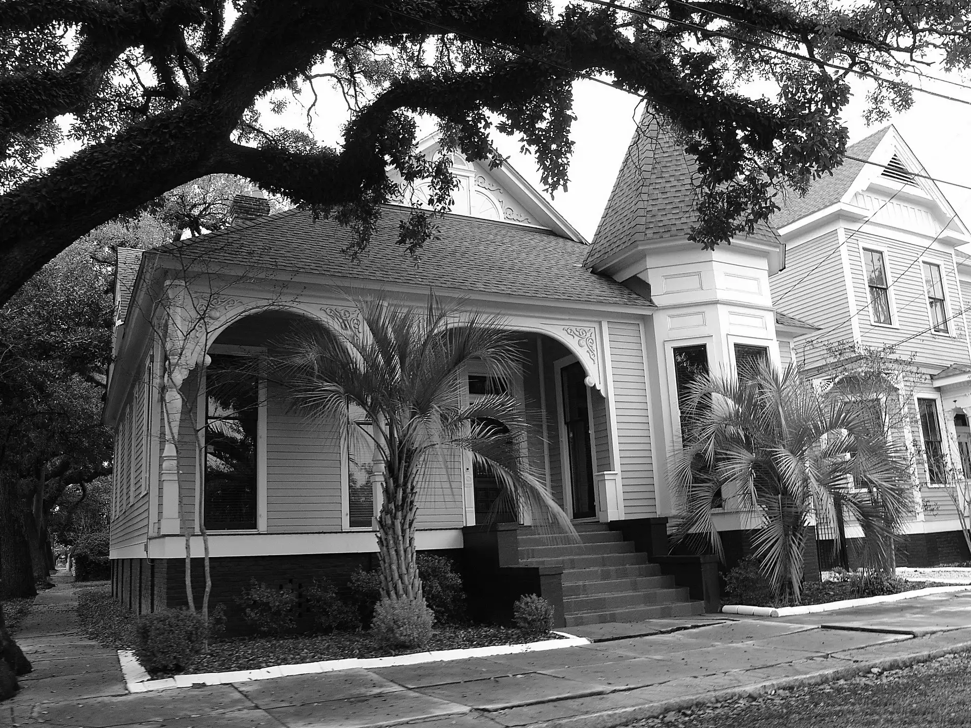 Victorian, trees, Street, house