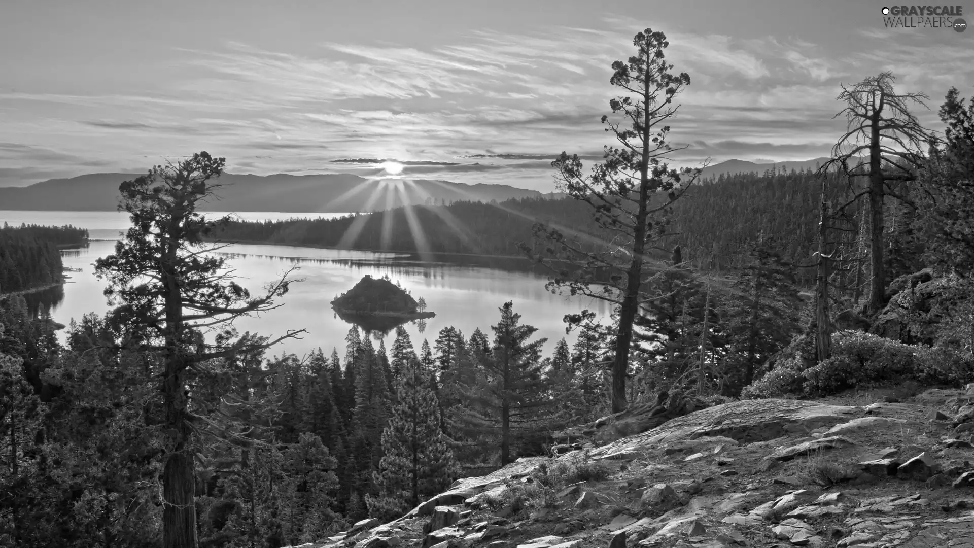 lake, rays, sun, forest