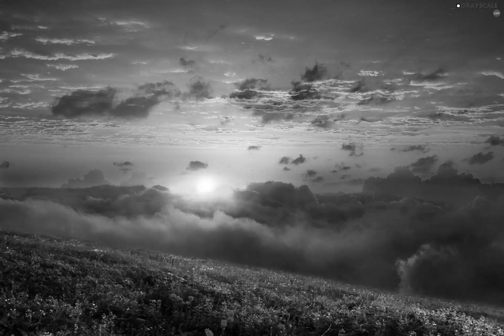 sun, Meadow, clouds, west, color