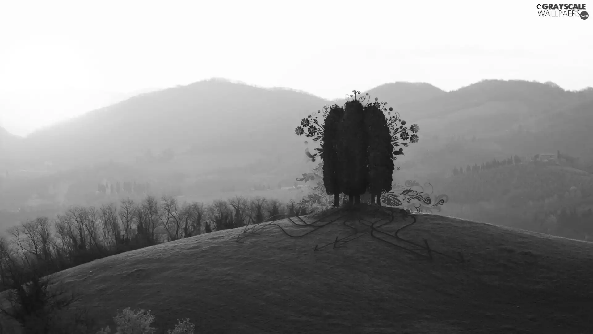 sun, Mountains, trees