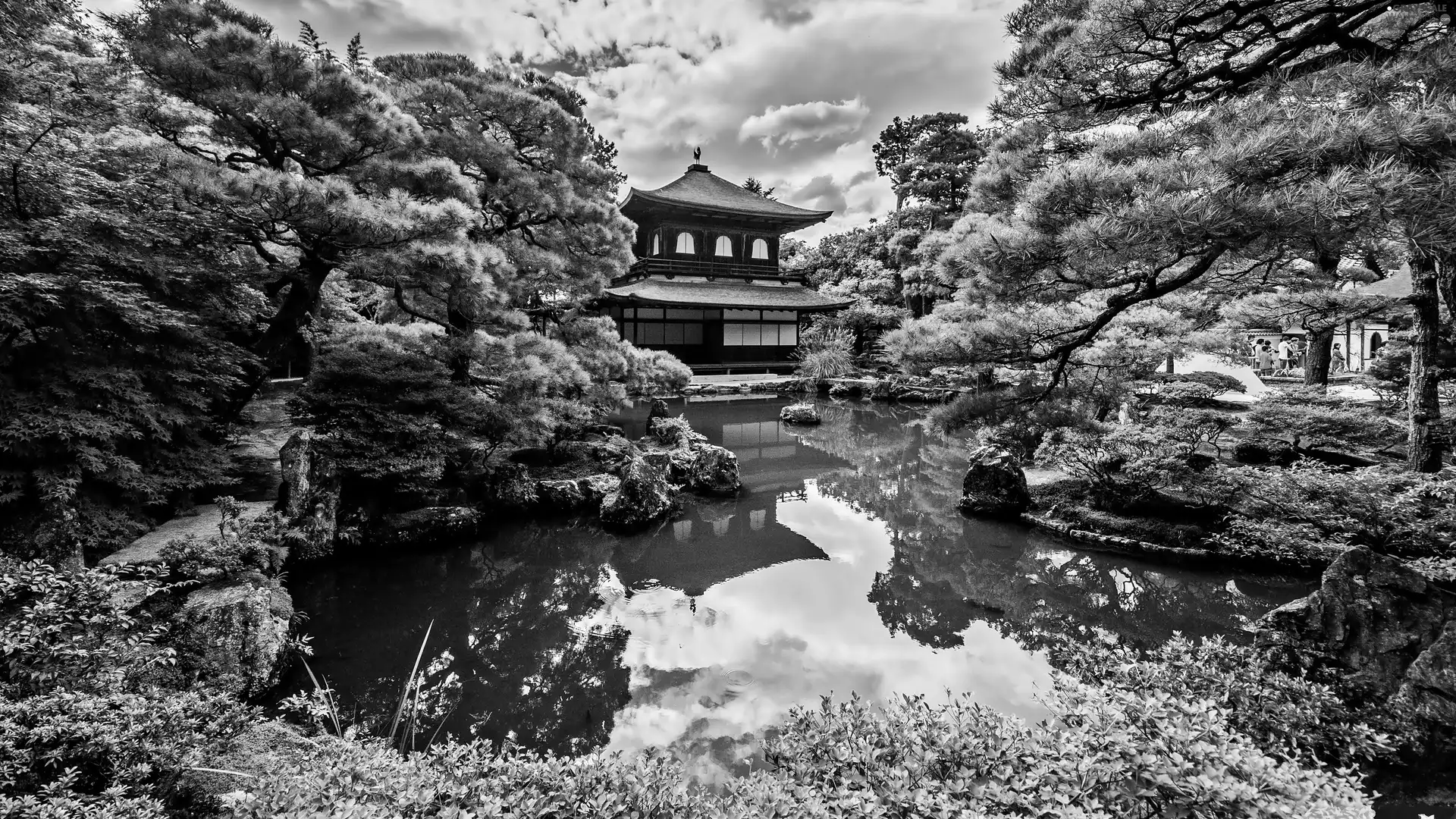 Garden, Pond - car, temple, japanese