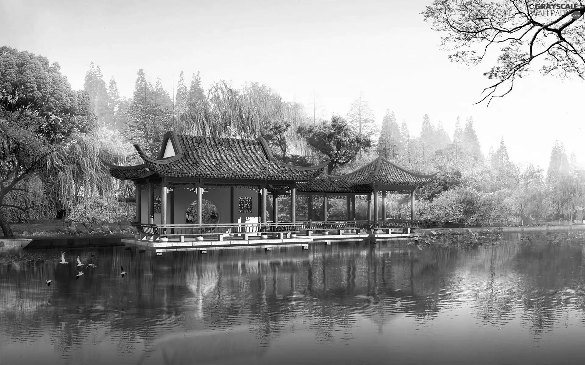 trees, water, terrace, viewes