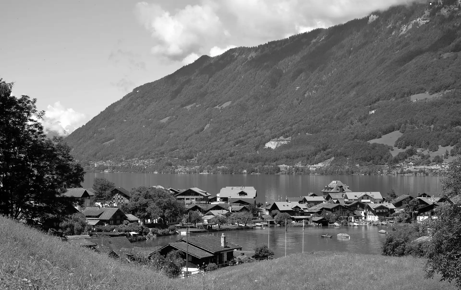 Town, Iseltwald, woods, lake, Mountains