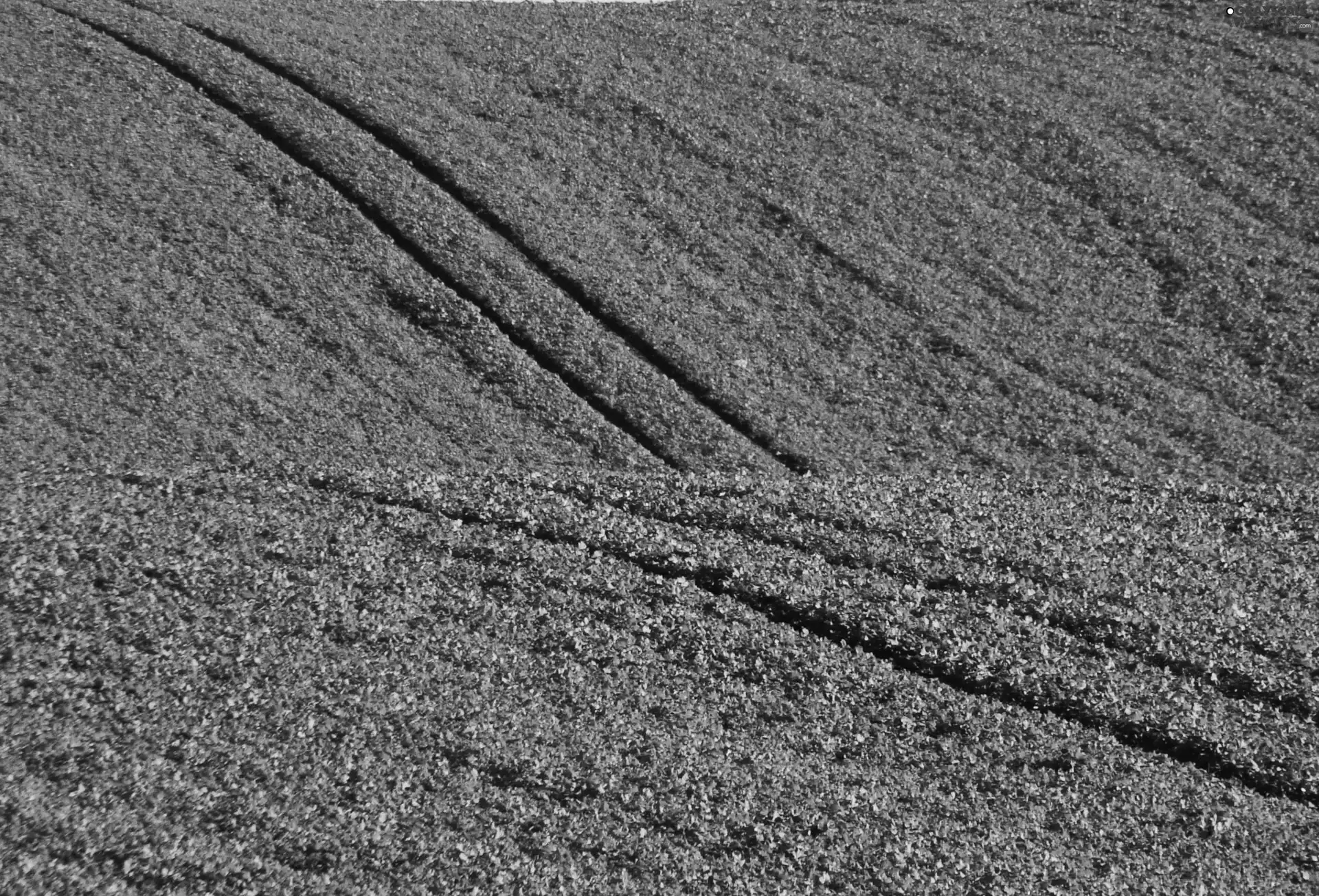 tractor, Field, traces