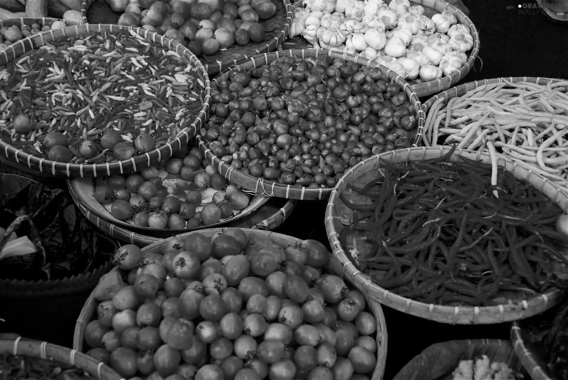 Trays, color, vegetables