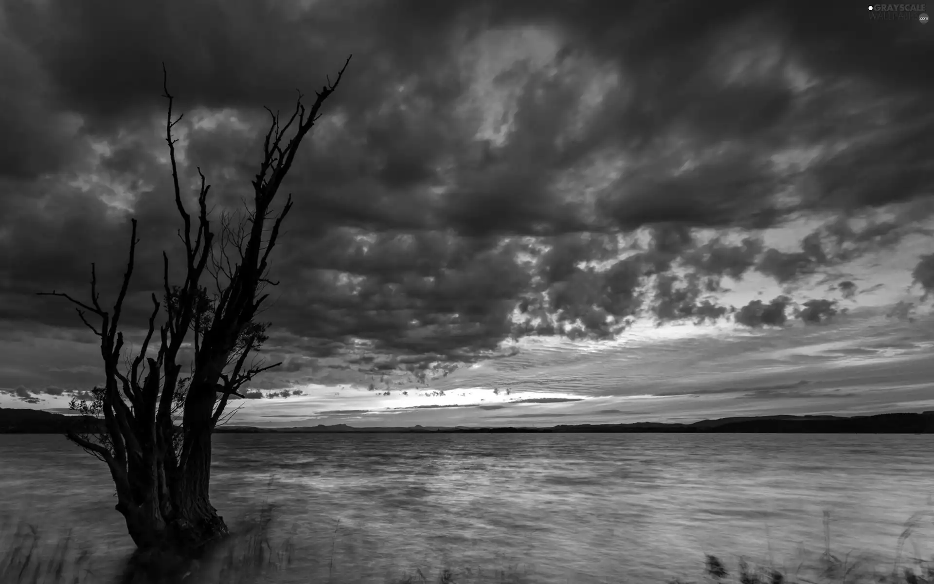 trees, clouds, lake