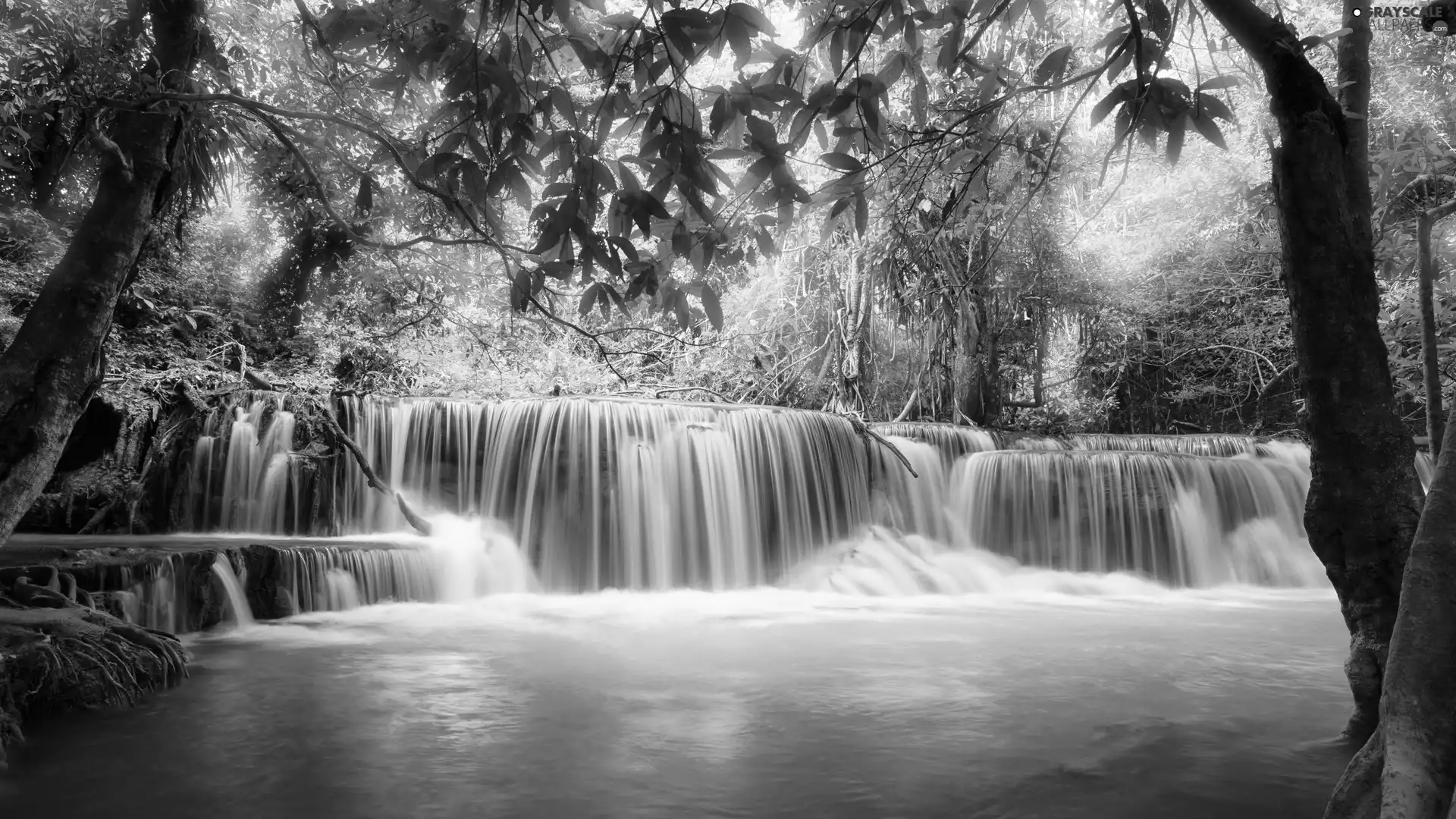 forest, waterfall, trees, viewes, flash, luminosity, ligh, sun, Przebijające