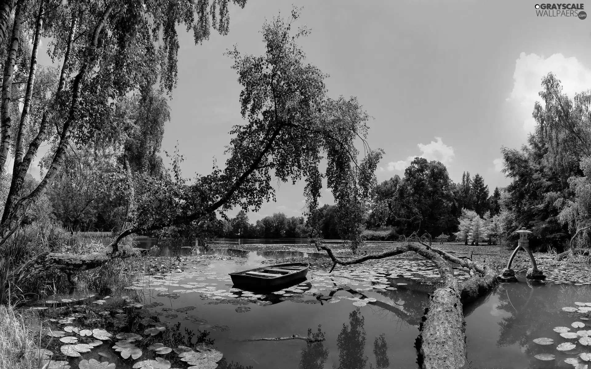 trees, viewes, Pond - car, Lodz, summer