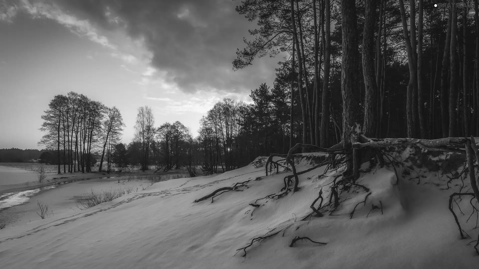 viewes, forest, snow, trees, winter, River, clouds
