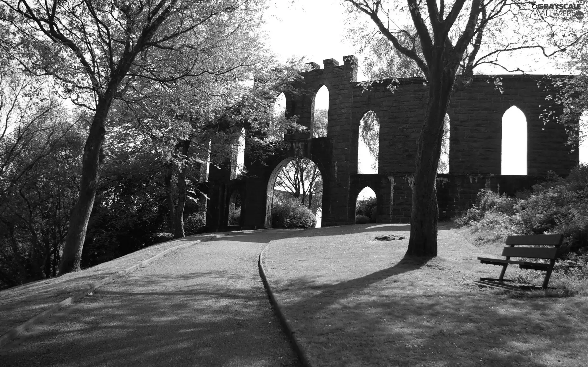 Gate, alley, trees, viewes, Bench, park