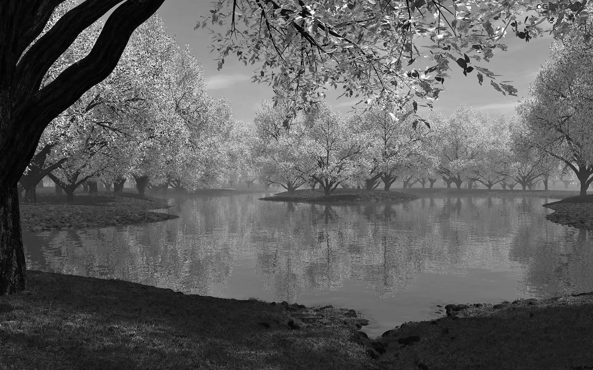 Fog, Spring, trees, viewes, flourishing, River