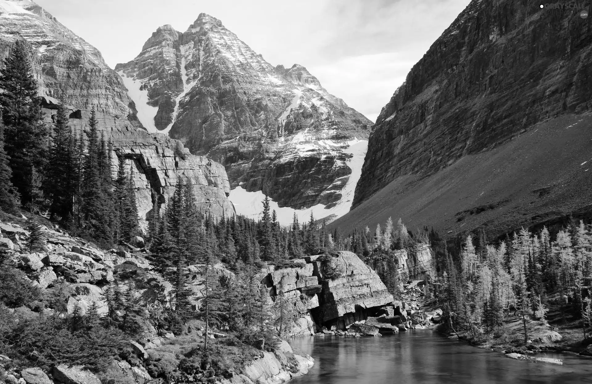 trees, viewes, rocks, lake, Mountains