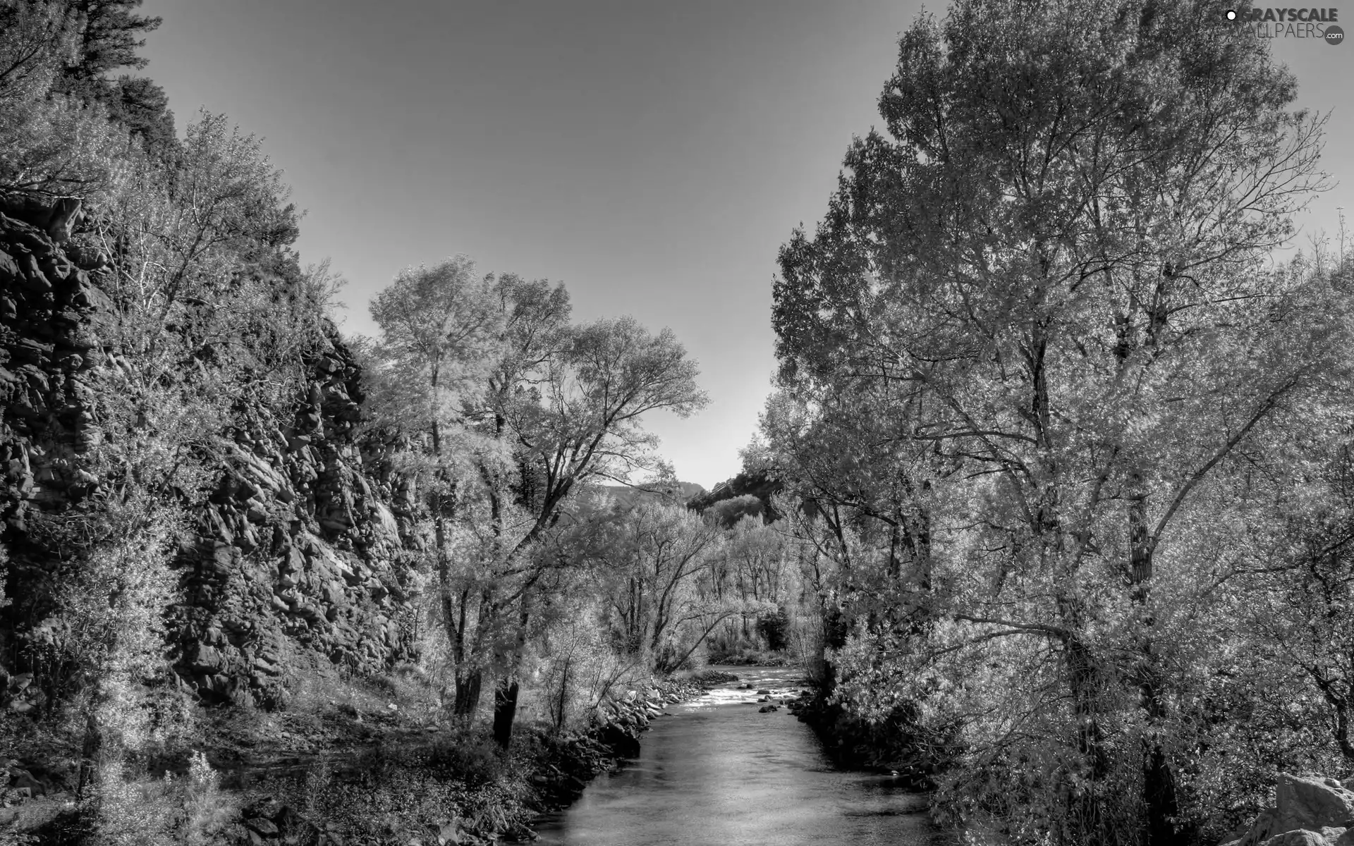 trees, viewes, brook, Autumn, Narrow