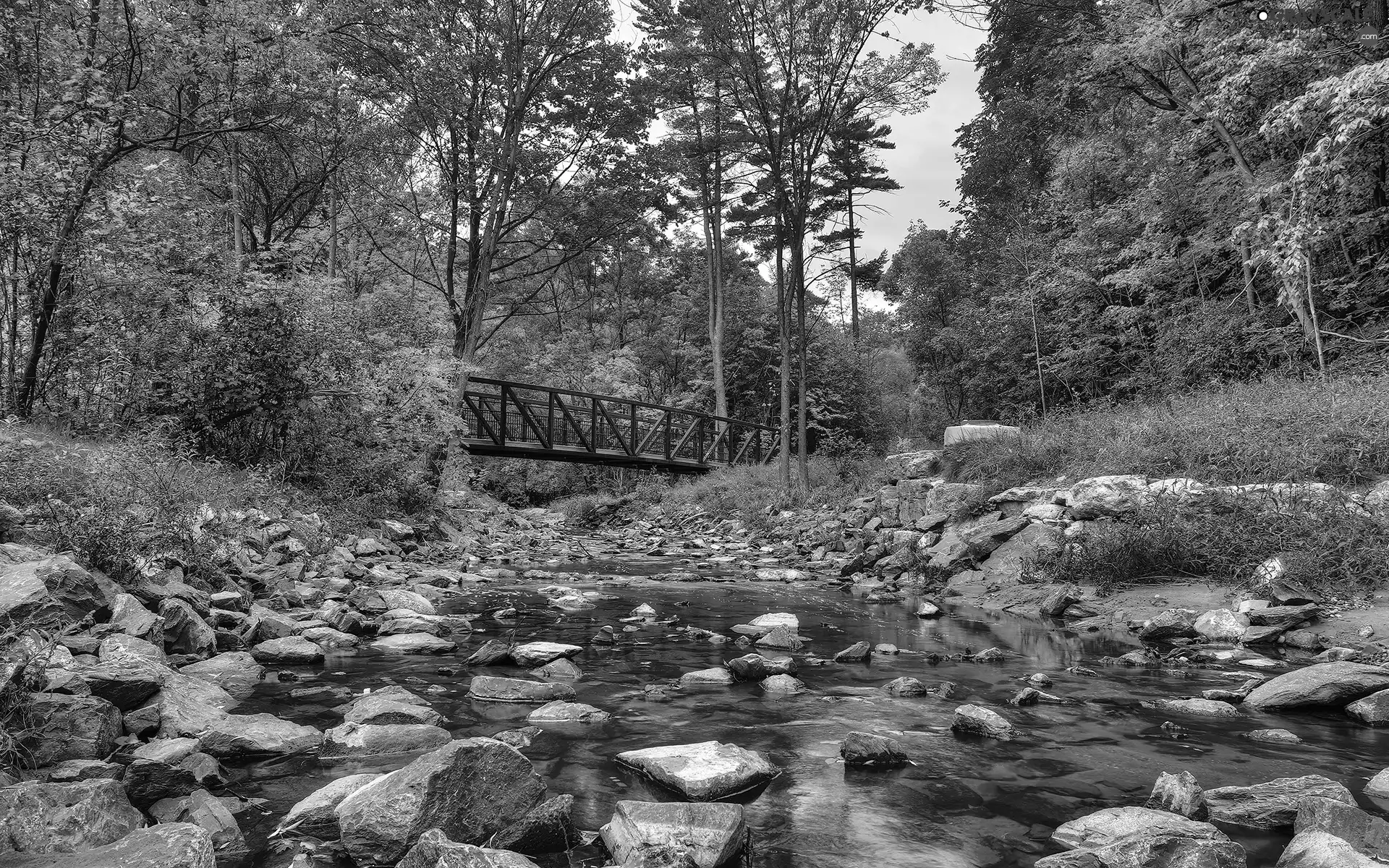 trees, viewes, Stones, bridges, River