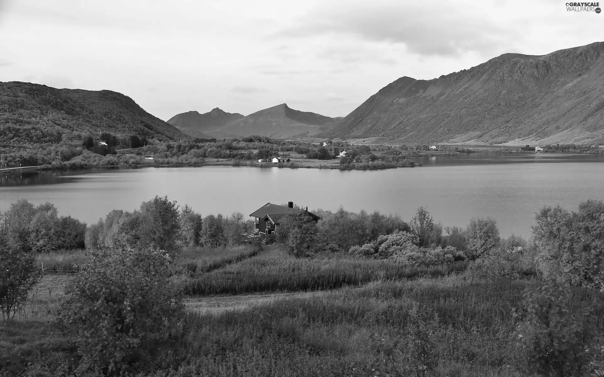 trees, viewes, Mountains, medows, River