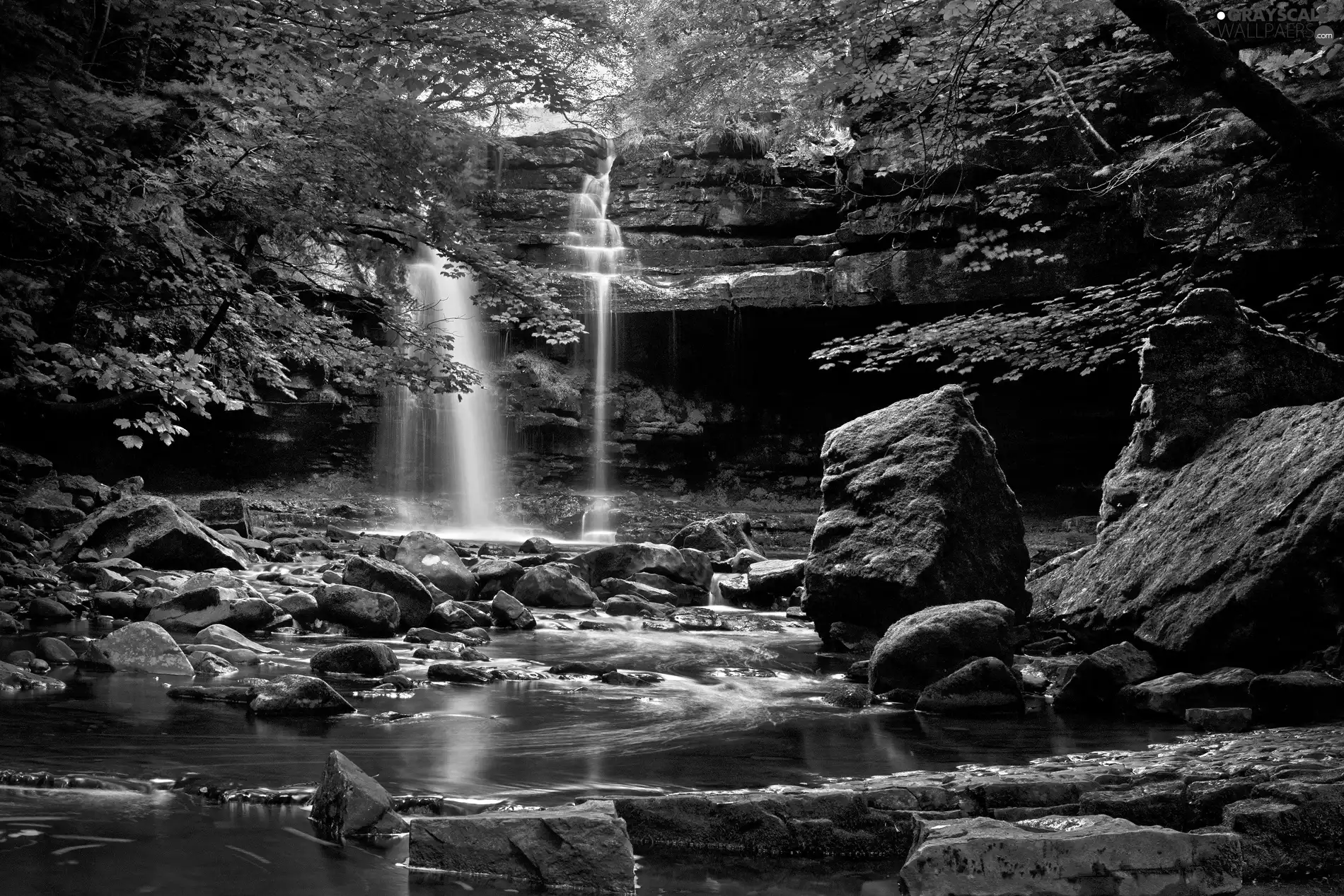 trees, viewes, rocks, waterfall, River