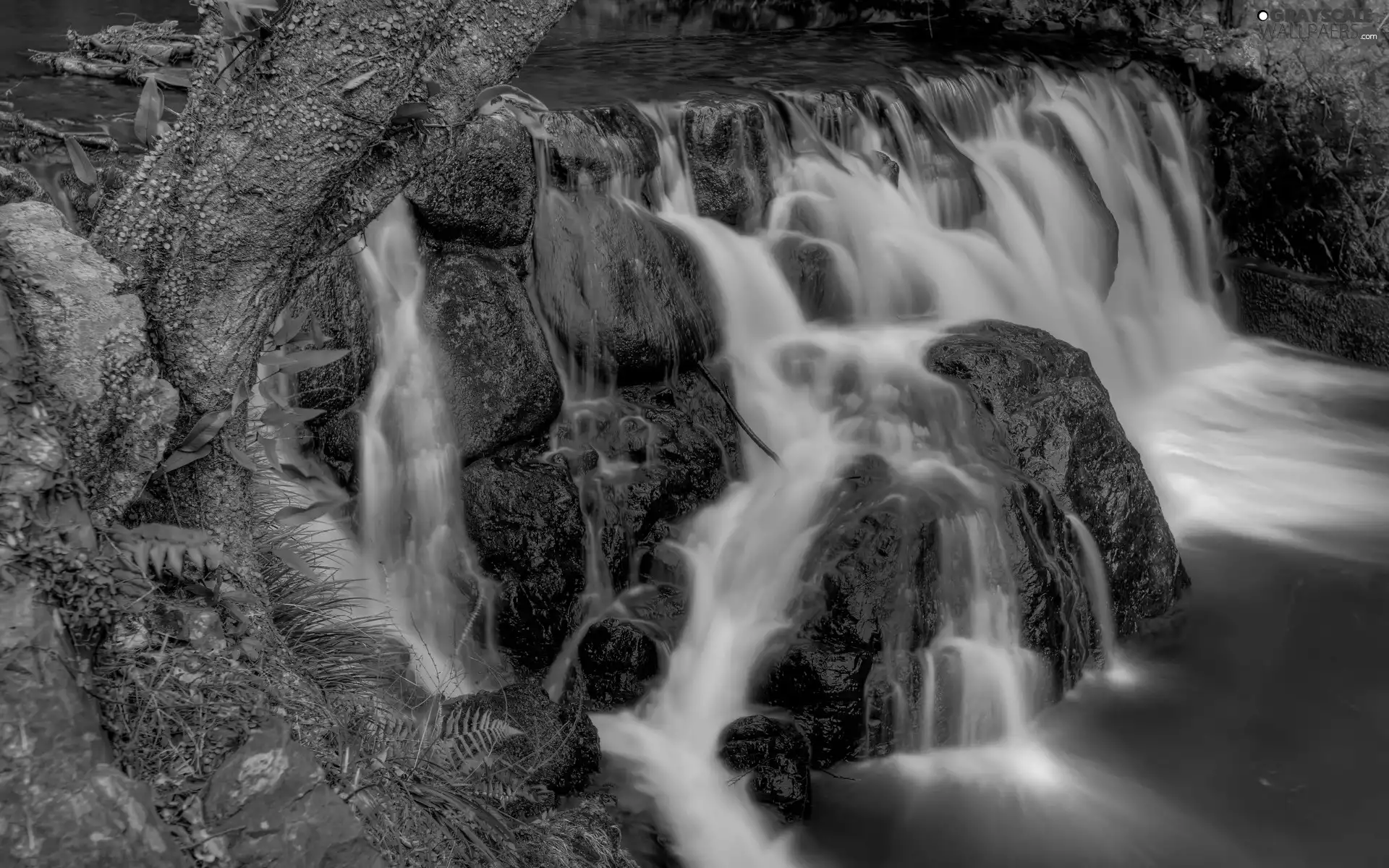 trees, viewes, rocks, River, waterfall