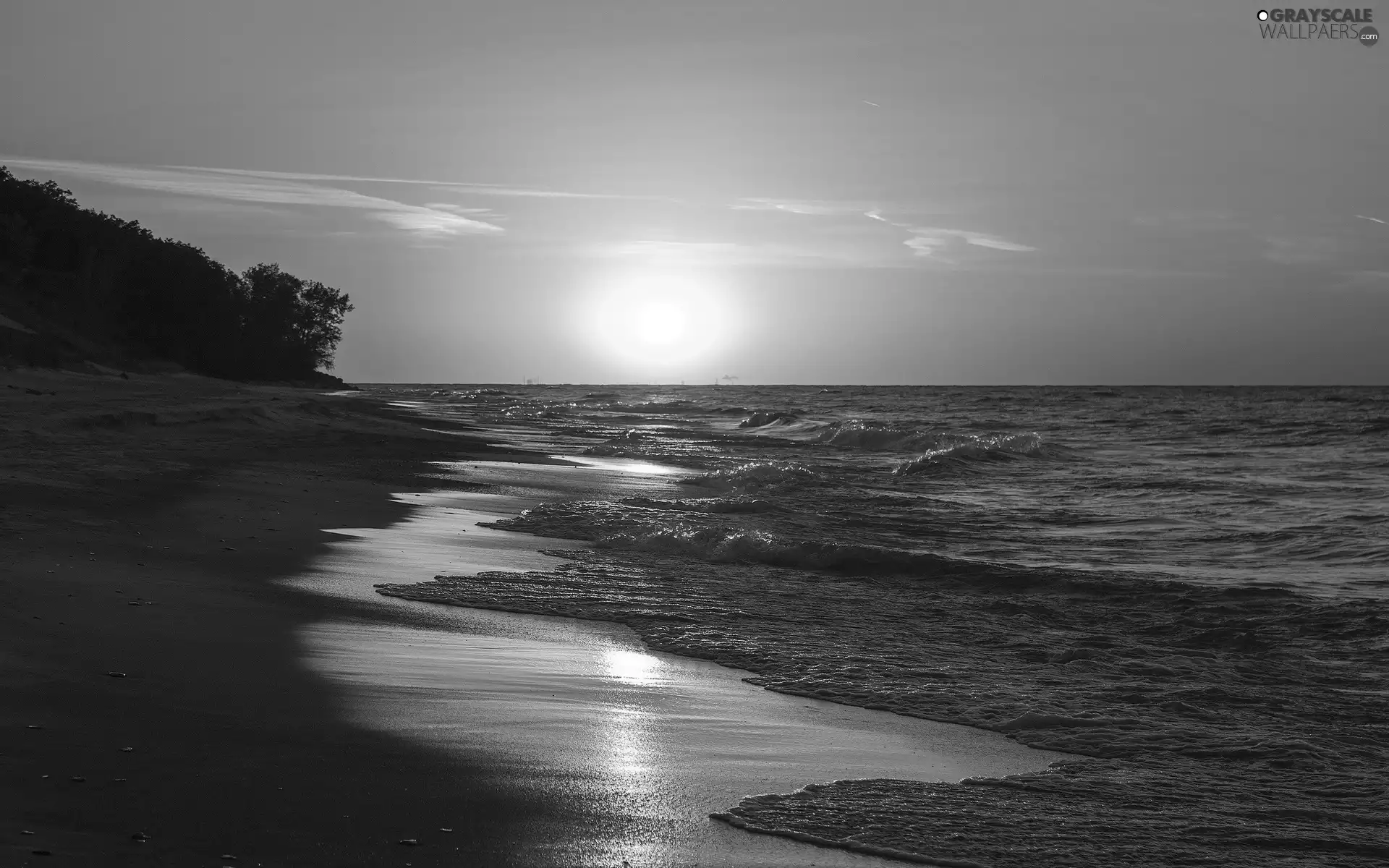 trees, viewes, sun, sea, west