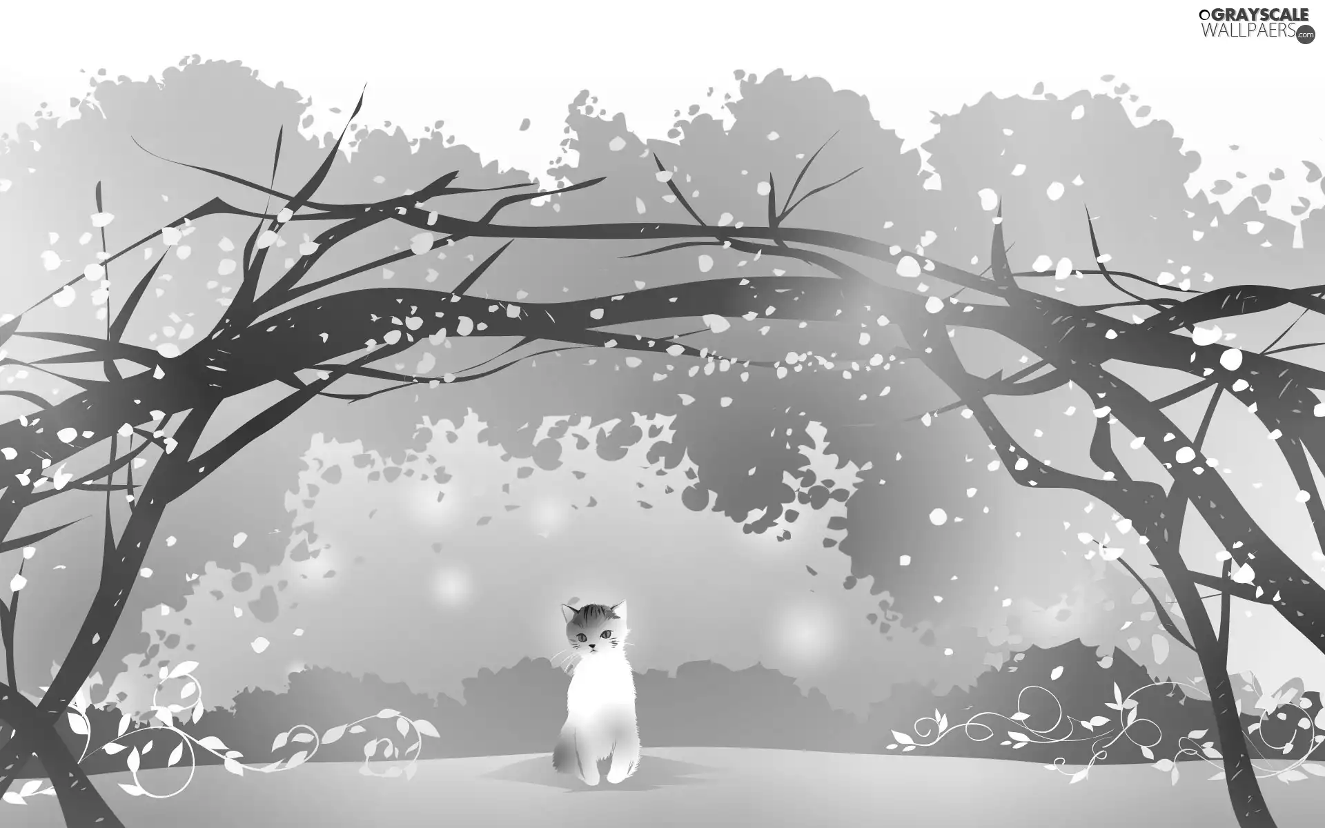 trees, viewes, cat, flourishing, White