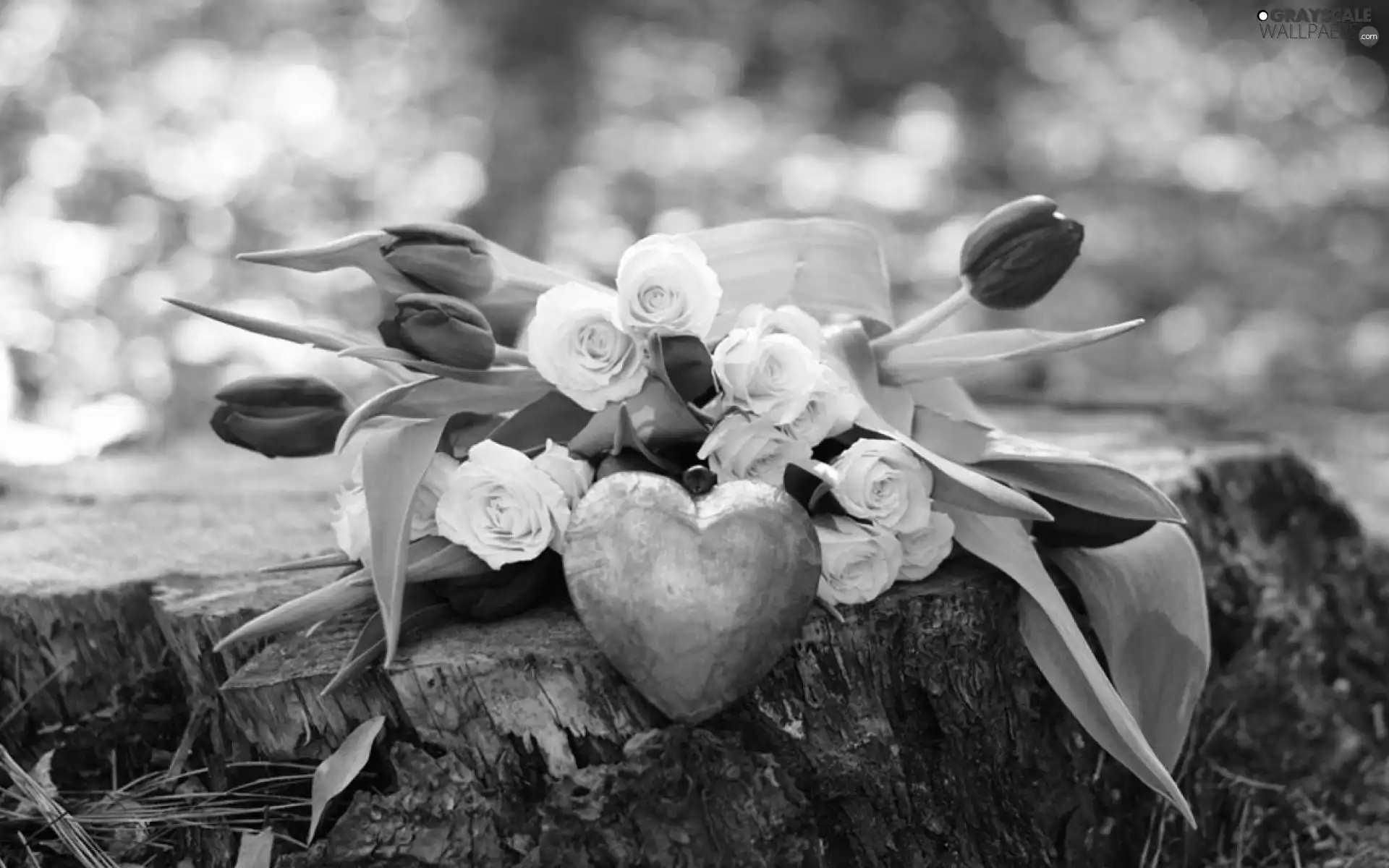 Heart teddybear, roses, Tulips