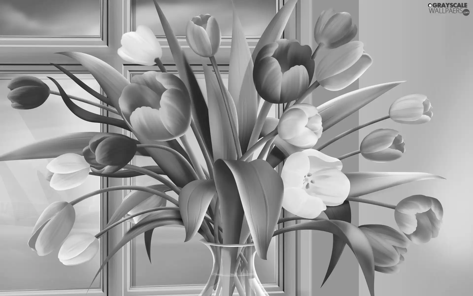 vase, Window, Tulips, glass, color