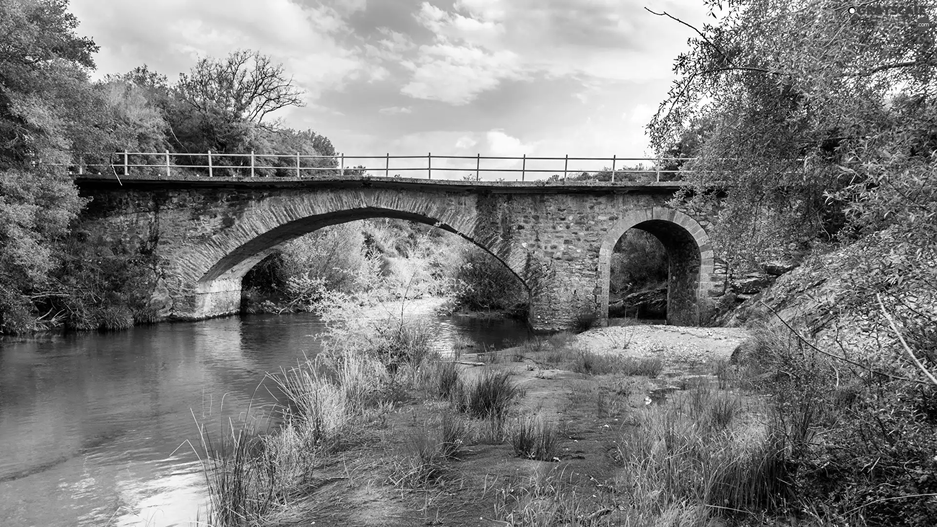 trees, River, grass, VEGETATION, viewes, bridge