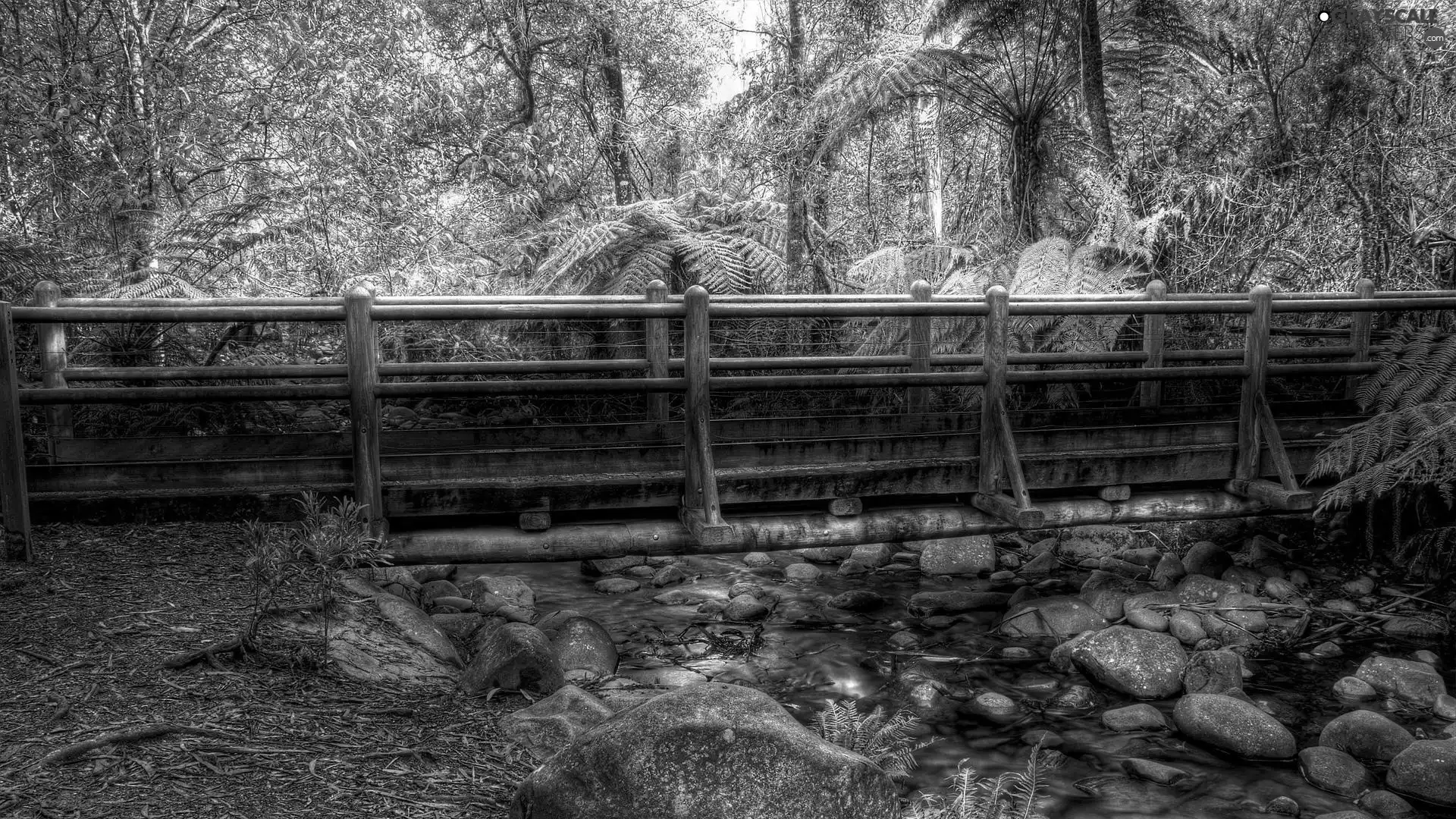 bridge, Stones, VEGETATION, River