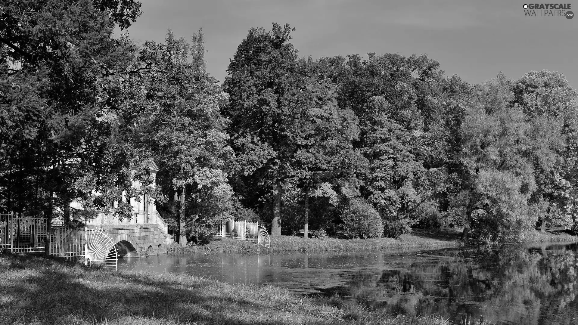 viewes, autumn, lake, trees, Park