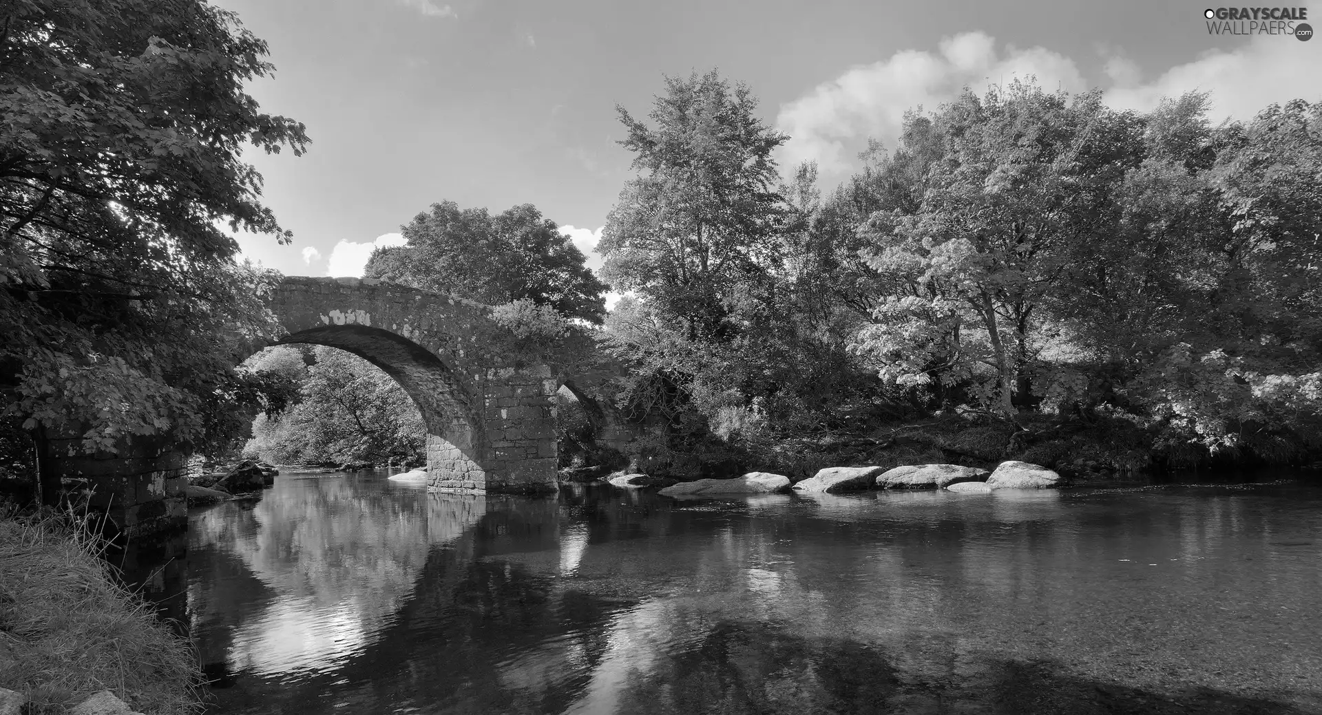 viewes, autumn, bridge, trees, River