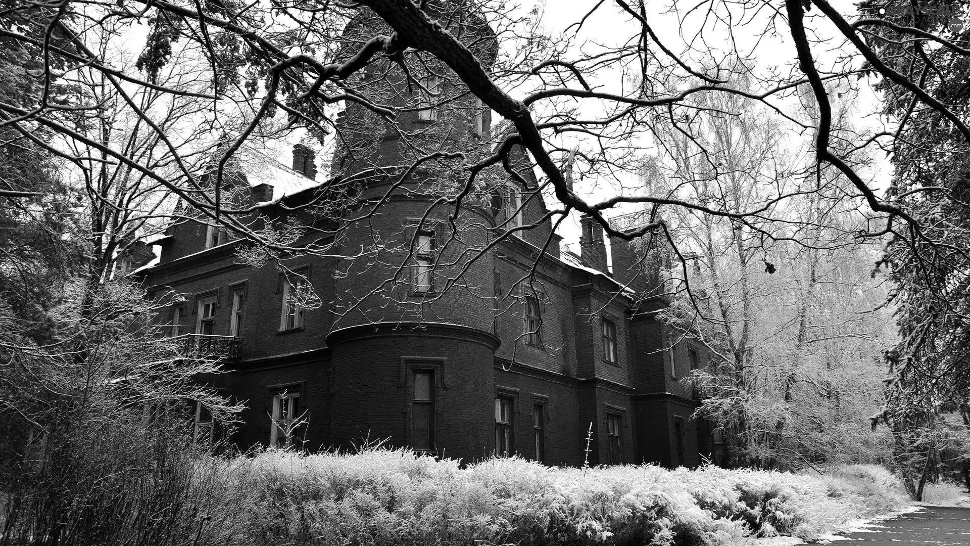 Snowy, house, viewes, winter, Buldings, trees, Bush