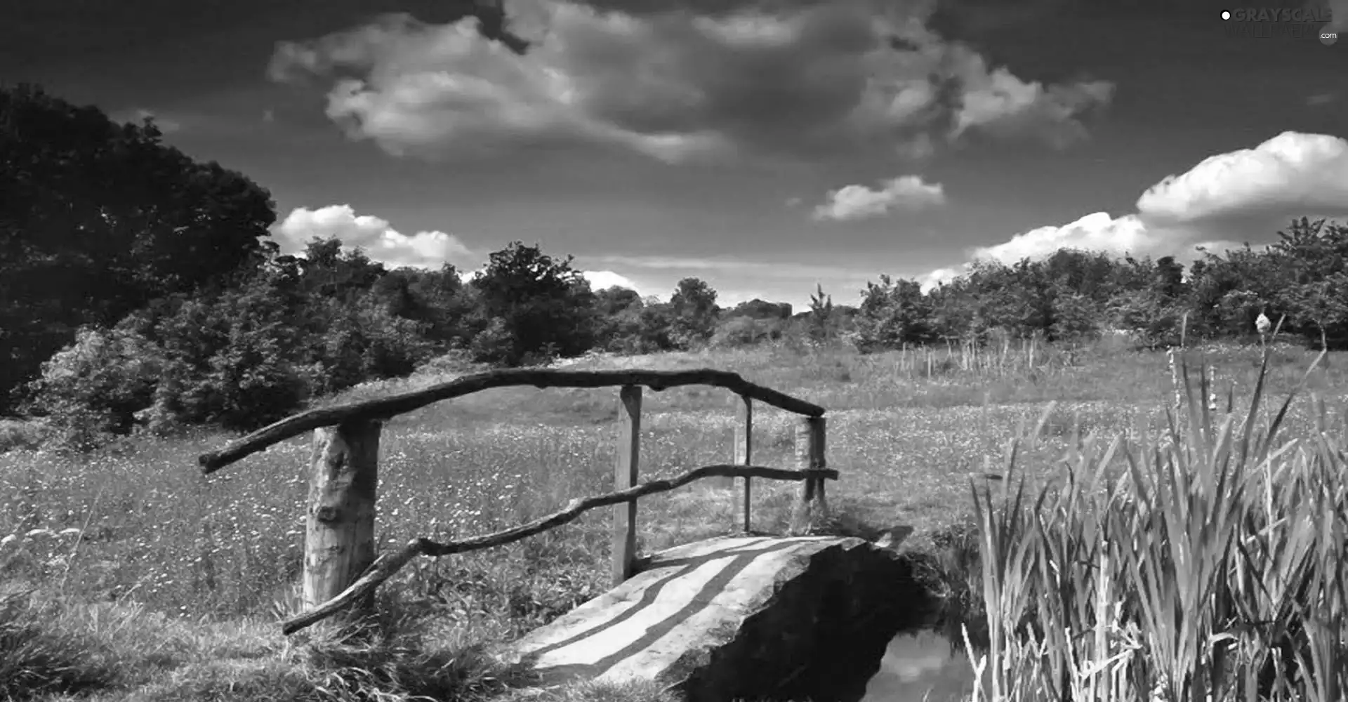 viewes, clouds, Meadow, trees, bridges