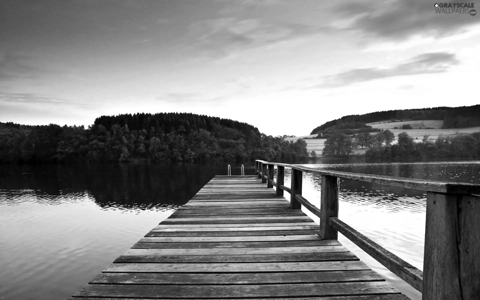 viewes, clouds, lake, trees, Platform