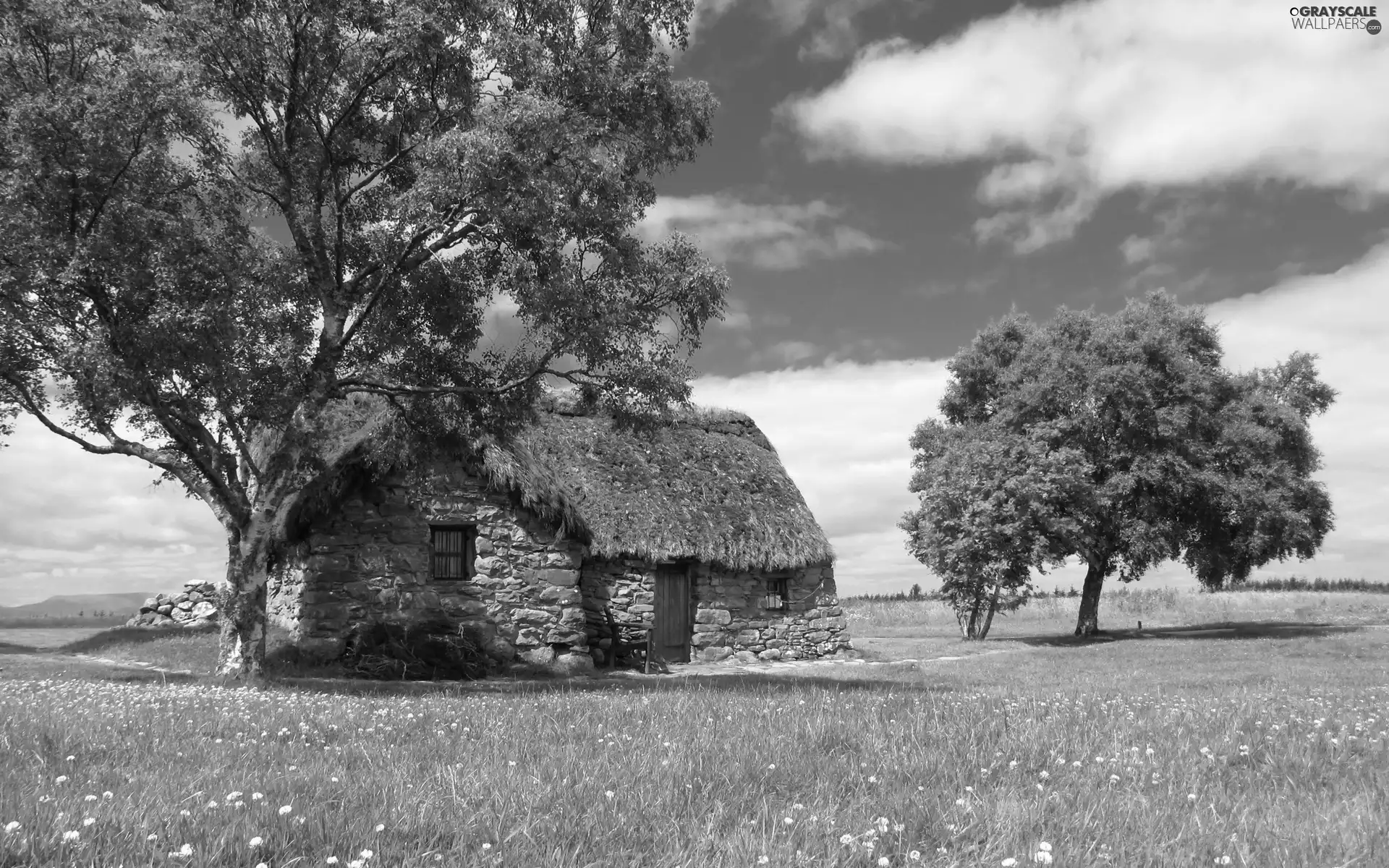 viewes, grass, Stones, trees, house